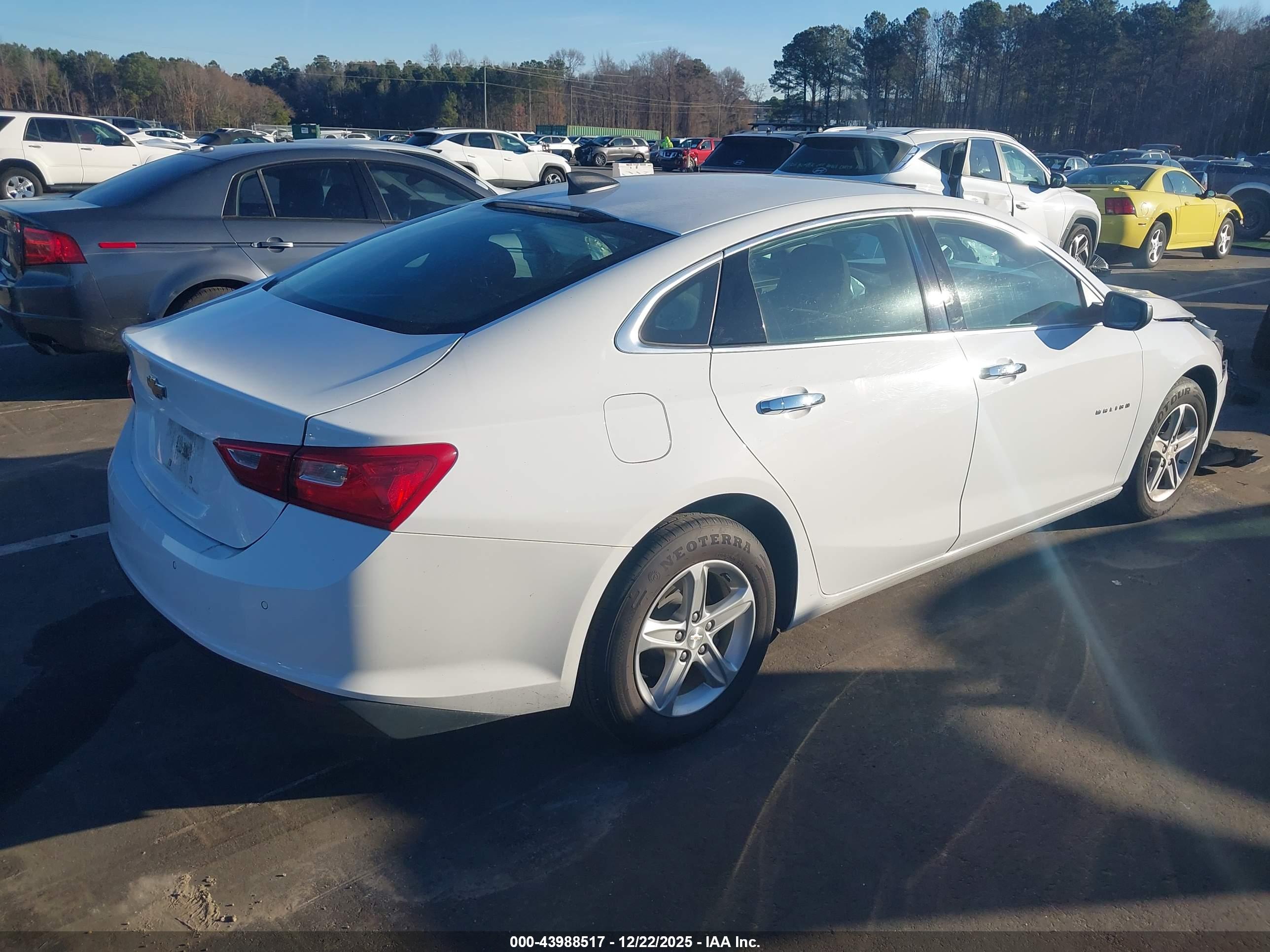 CHEVROLET MALIBU image 4