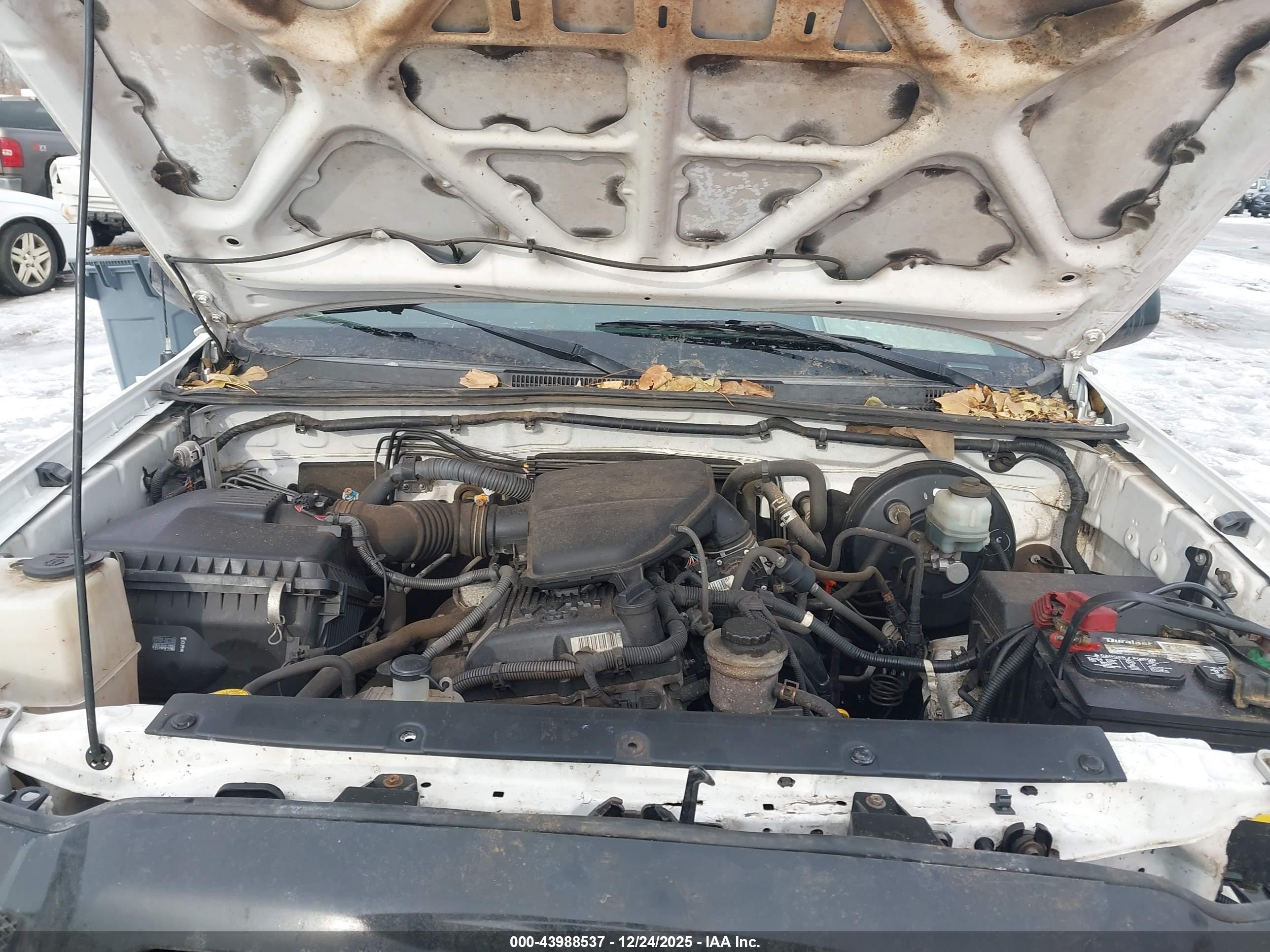 TOYOTA TACOMA image 10