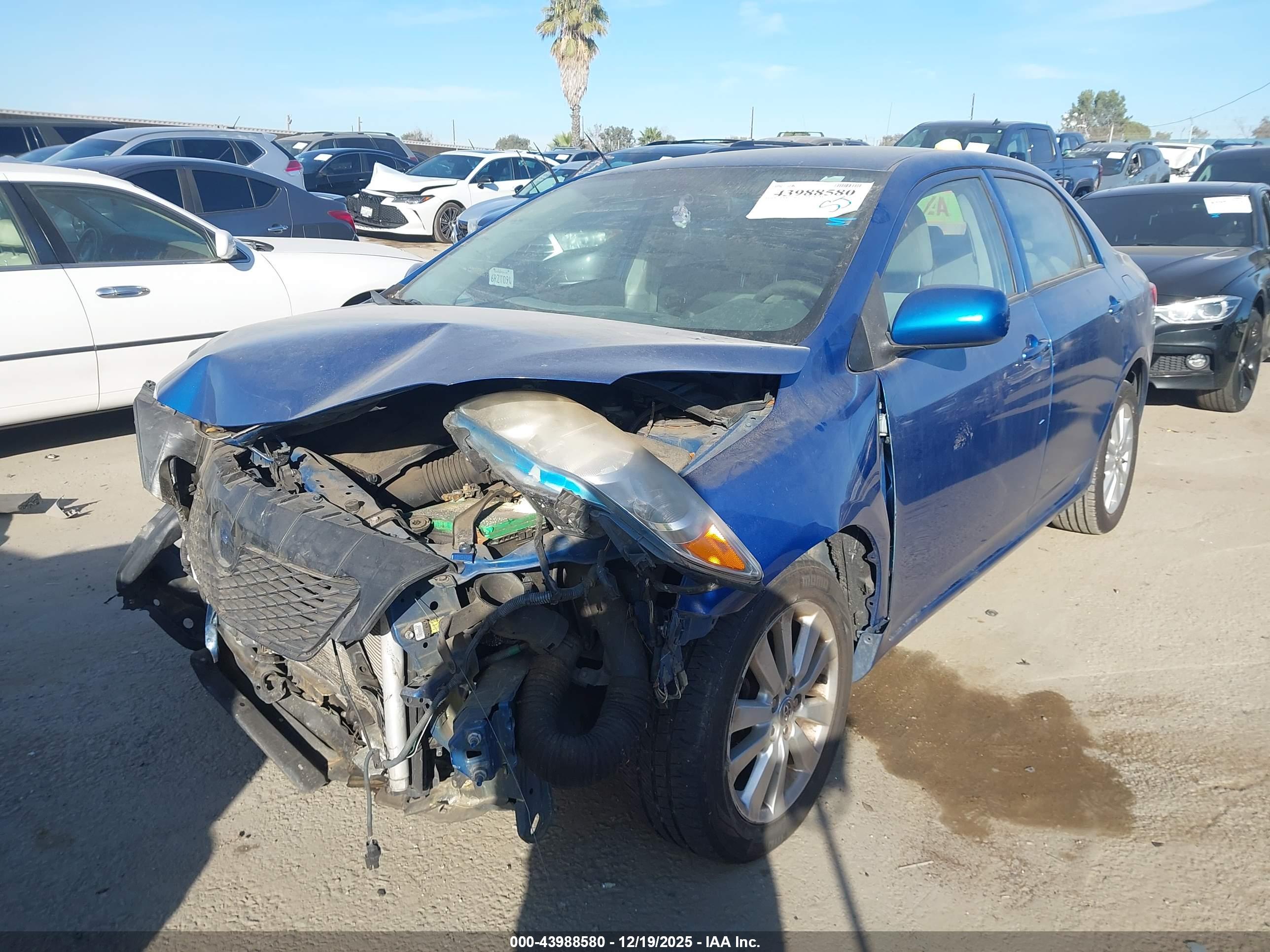 TOYOTA COROLLA image 2