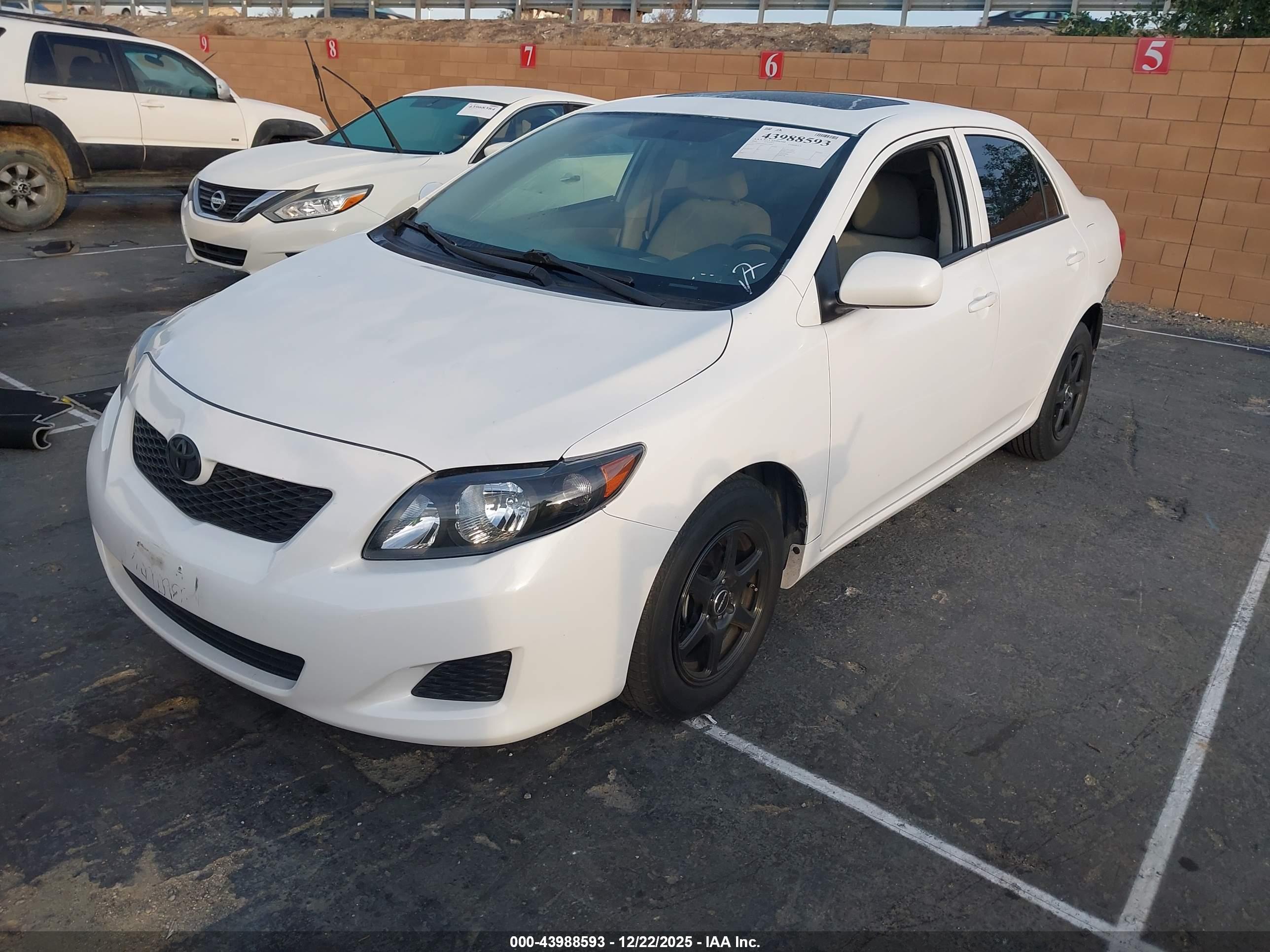 TOYOTA COROLLA image 2