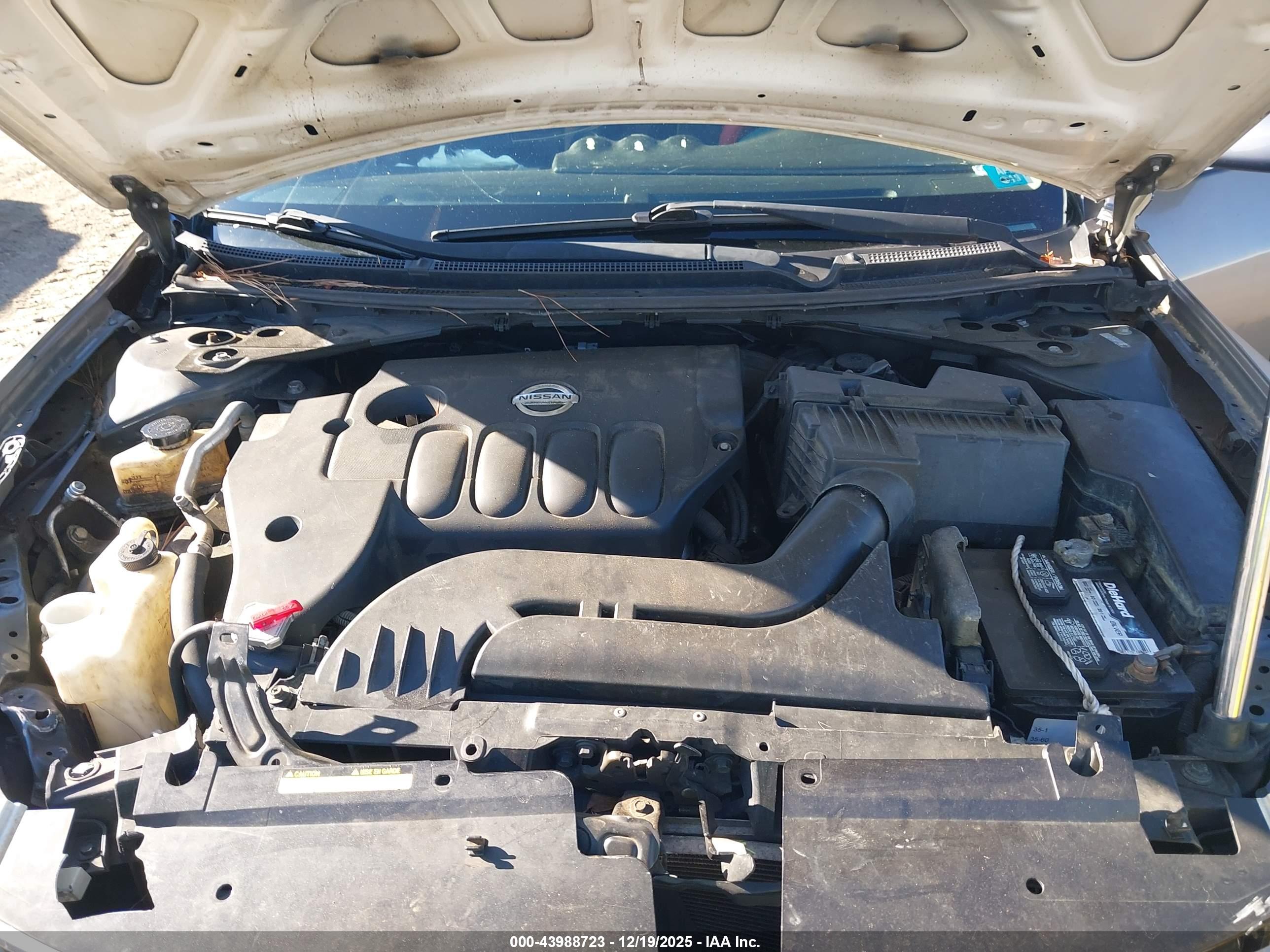 NISSAN ALTIMA image 10