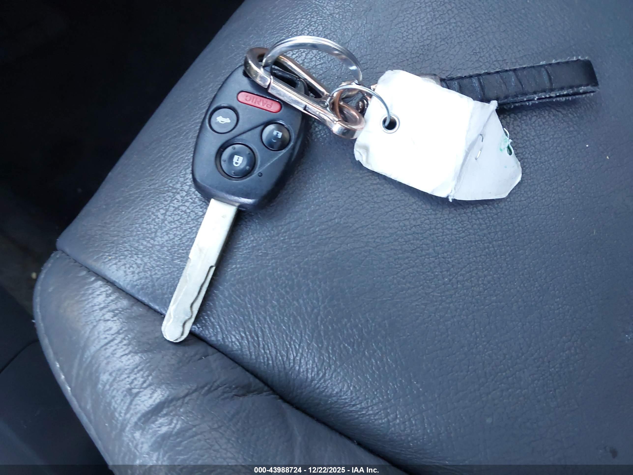 HONDA ACCORD image 11