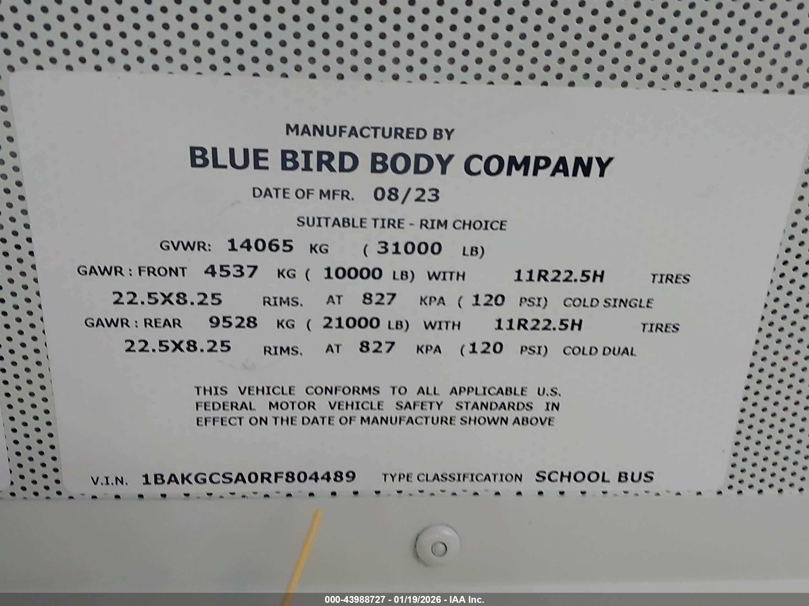 BLUE BIRD image 9