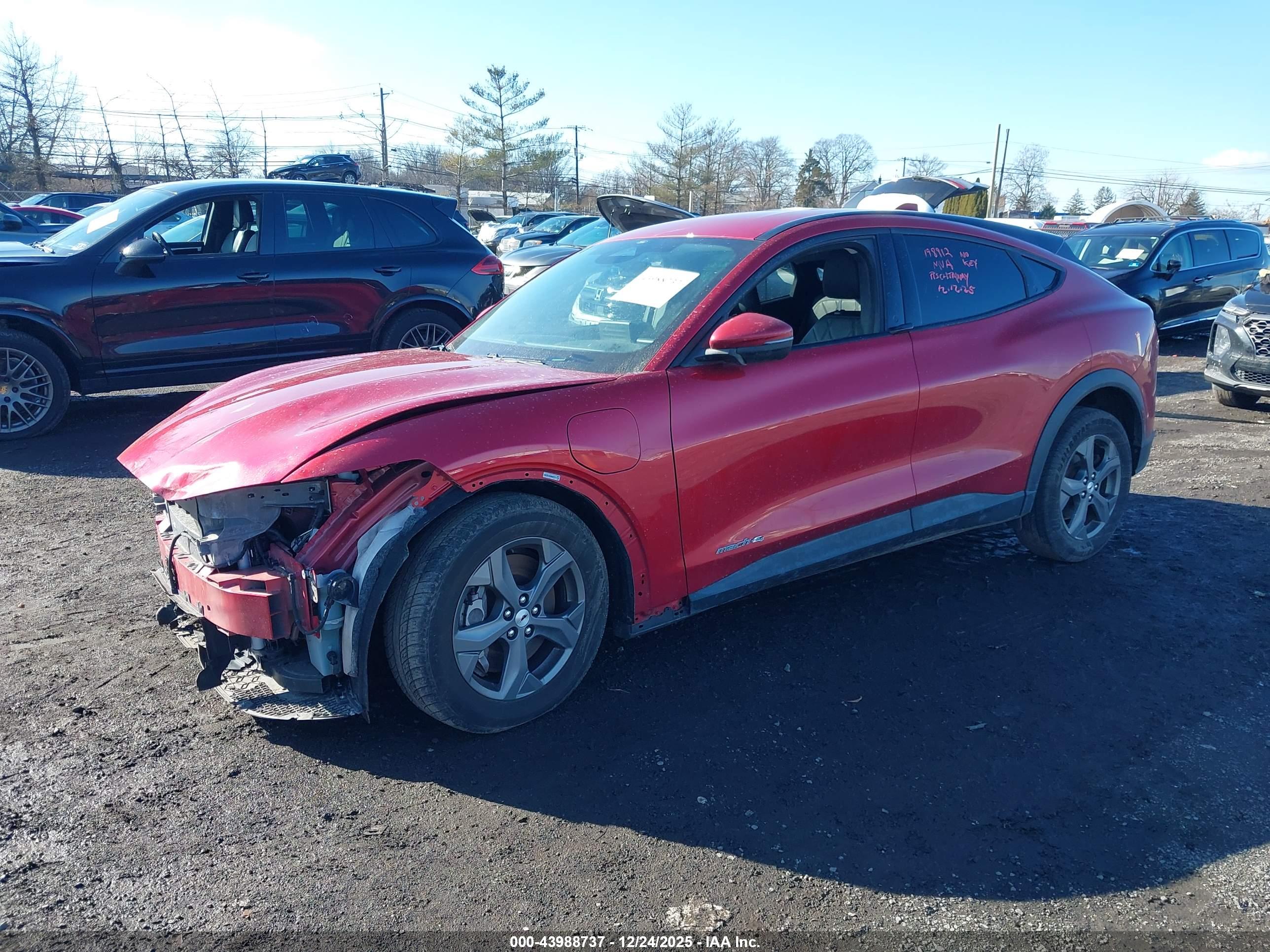 FORD MUSTANG image 2