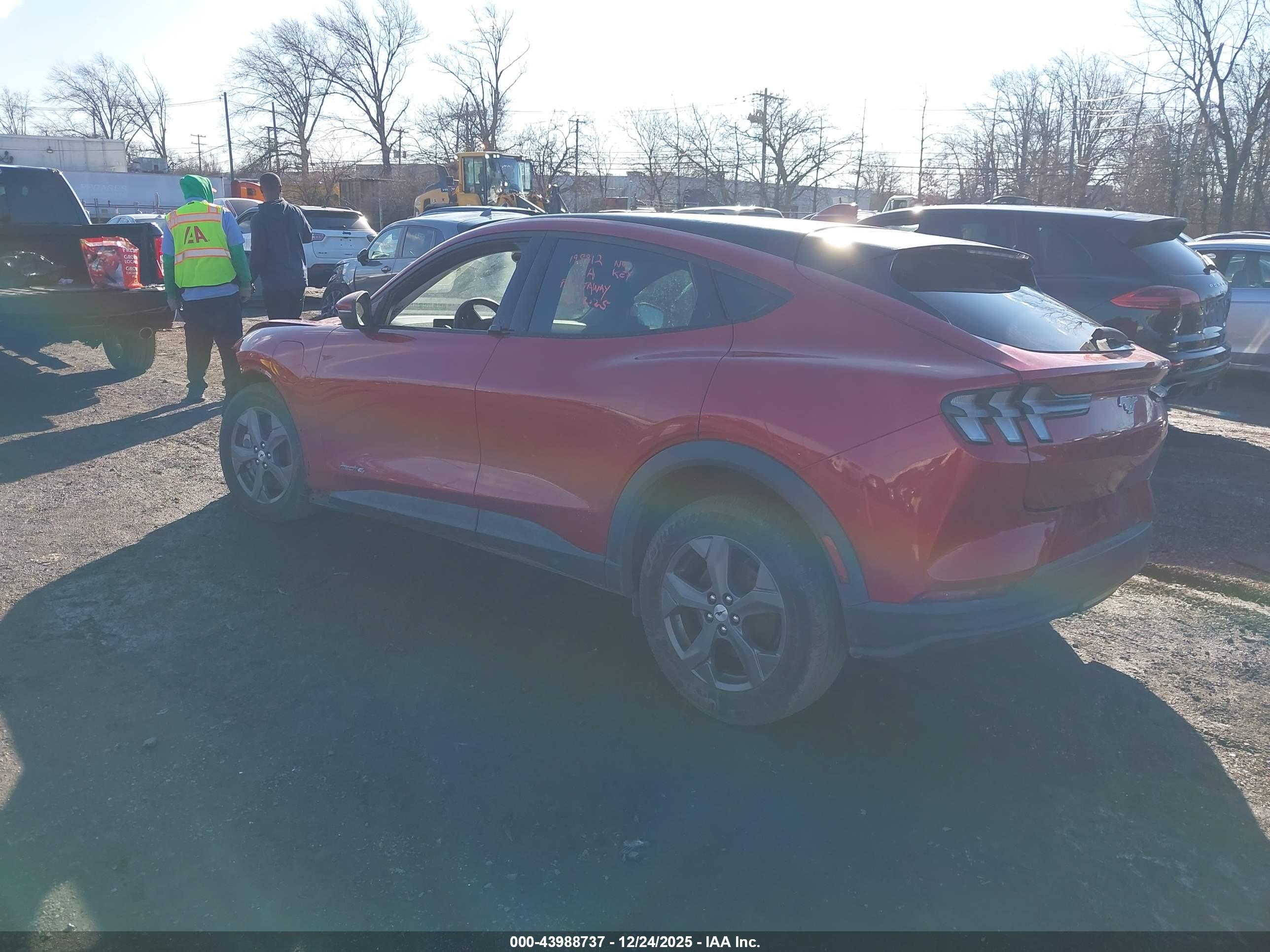 FORD MUSTANG image 3