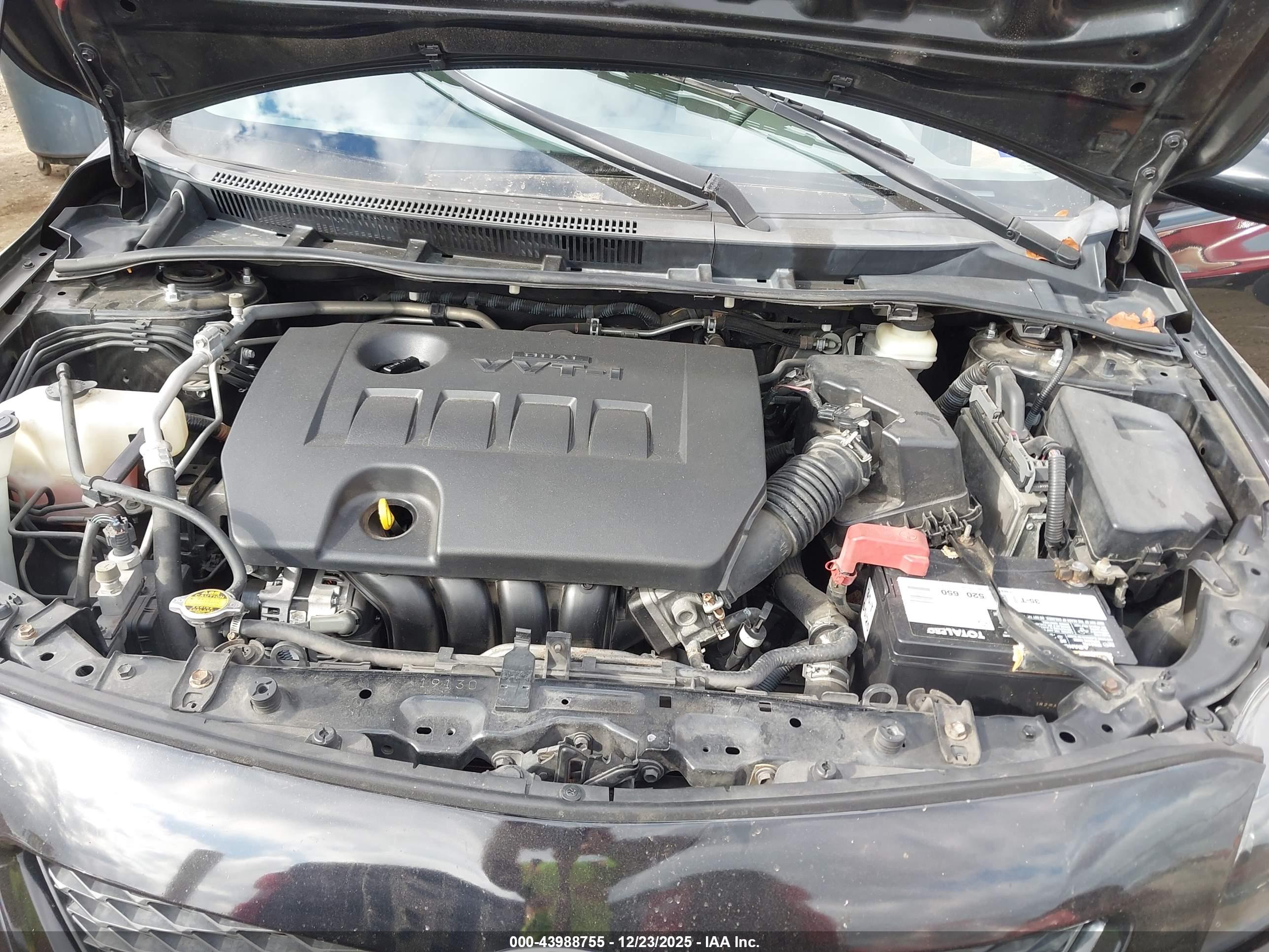 TOYOTA COROLLA image 10