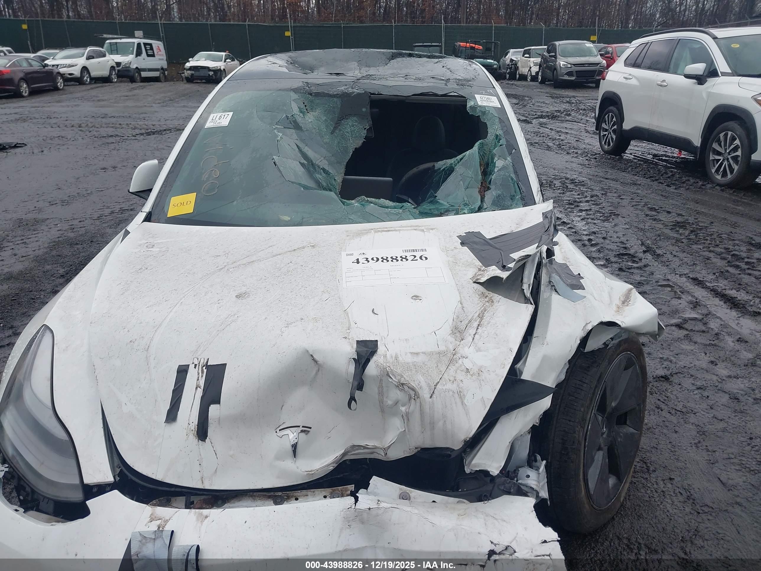 TESLA MODEL image 10