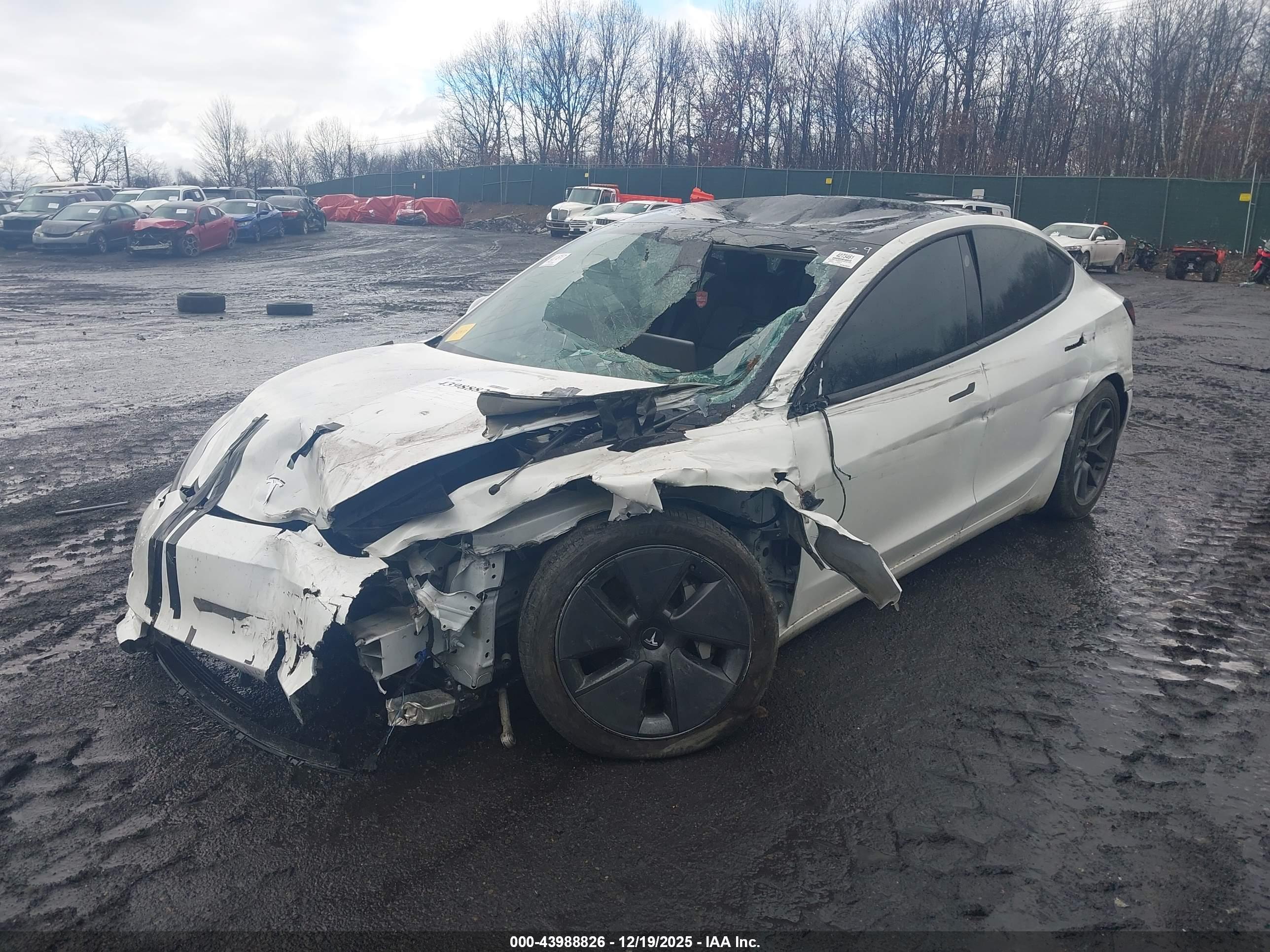 TESLA MODEL image 2
