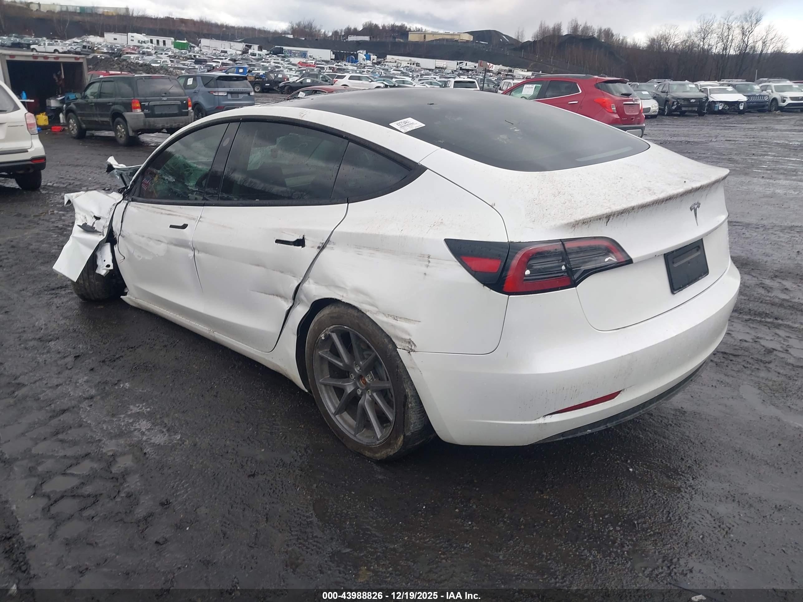 TESLA MODEL image 3