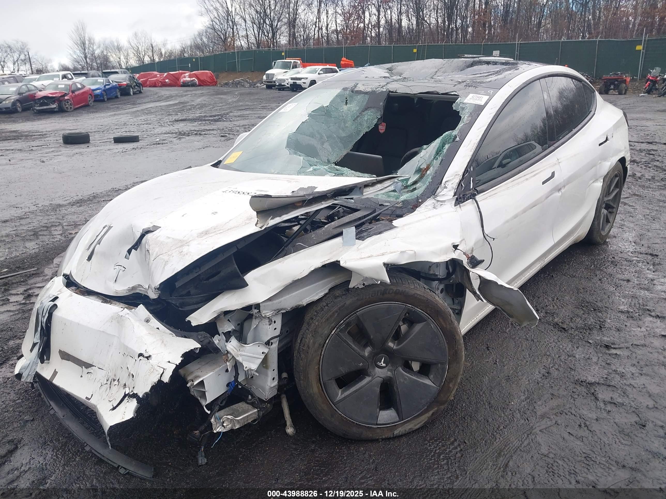 TESLA MODEL image 6