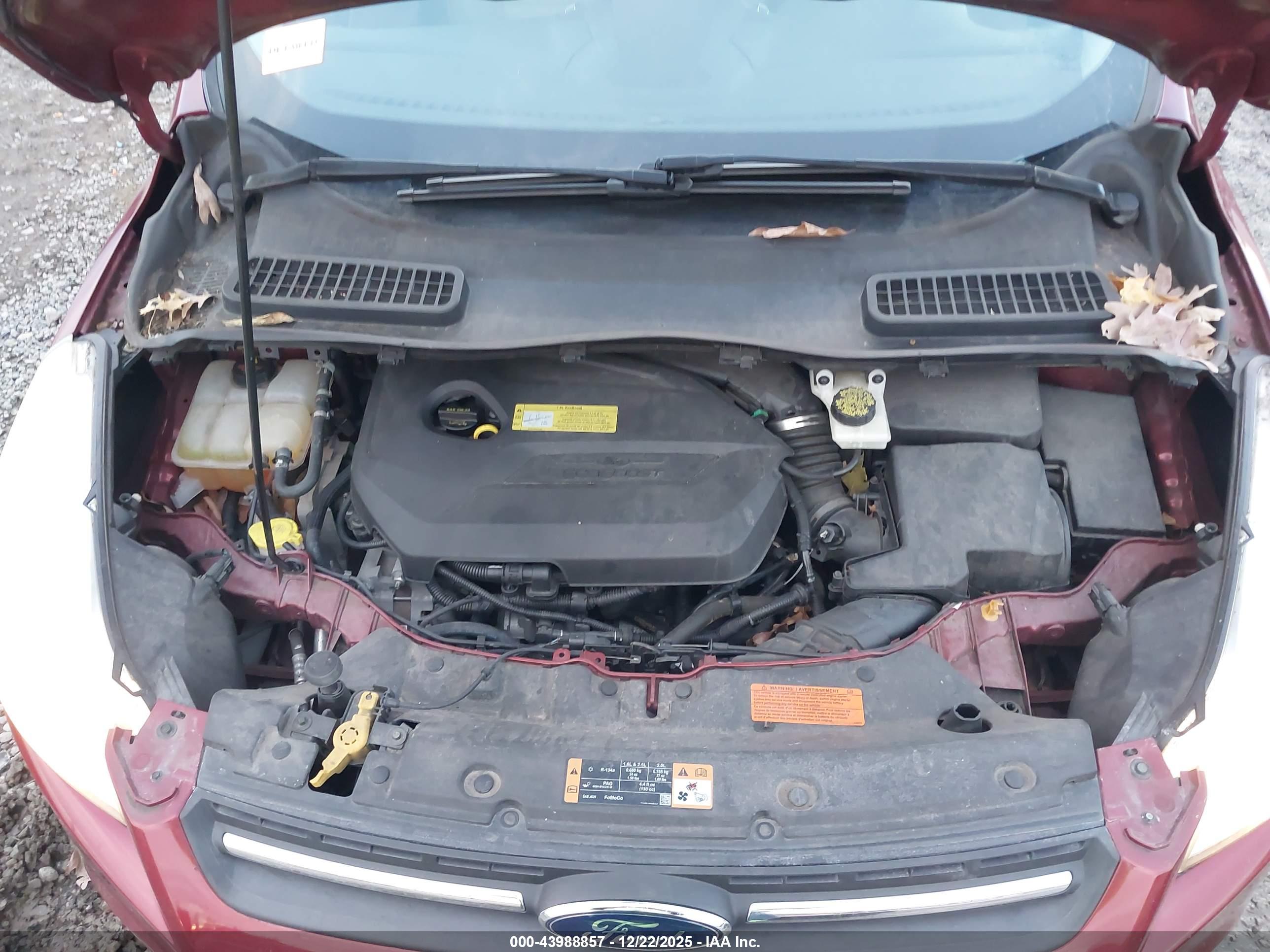 FORD ESCAPE image 10