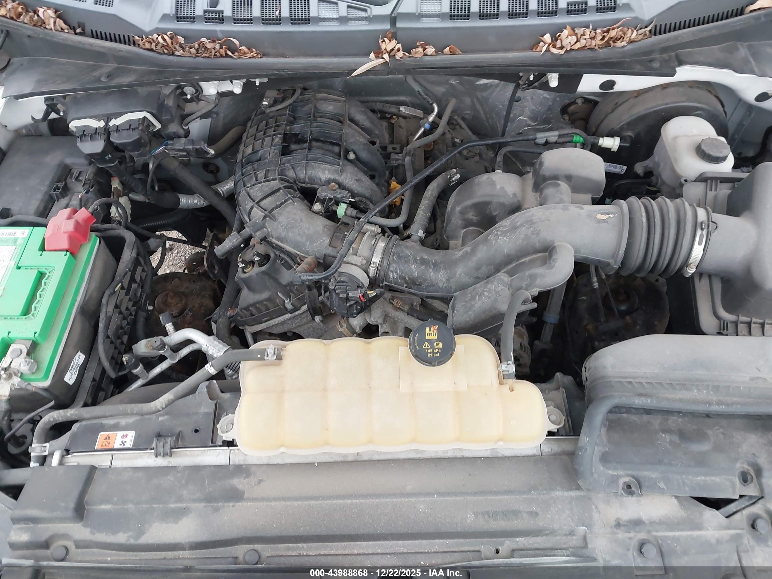 FORD F-150 image 10