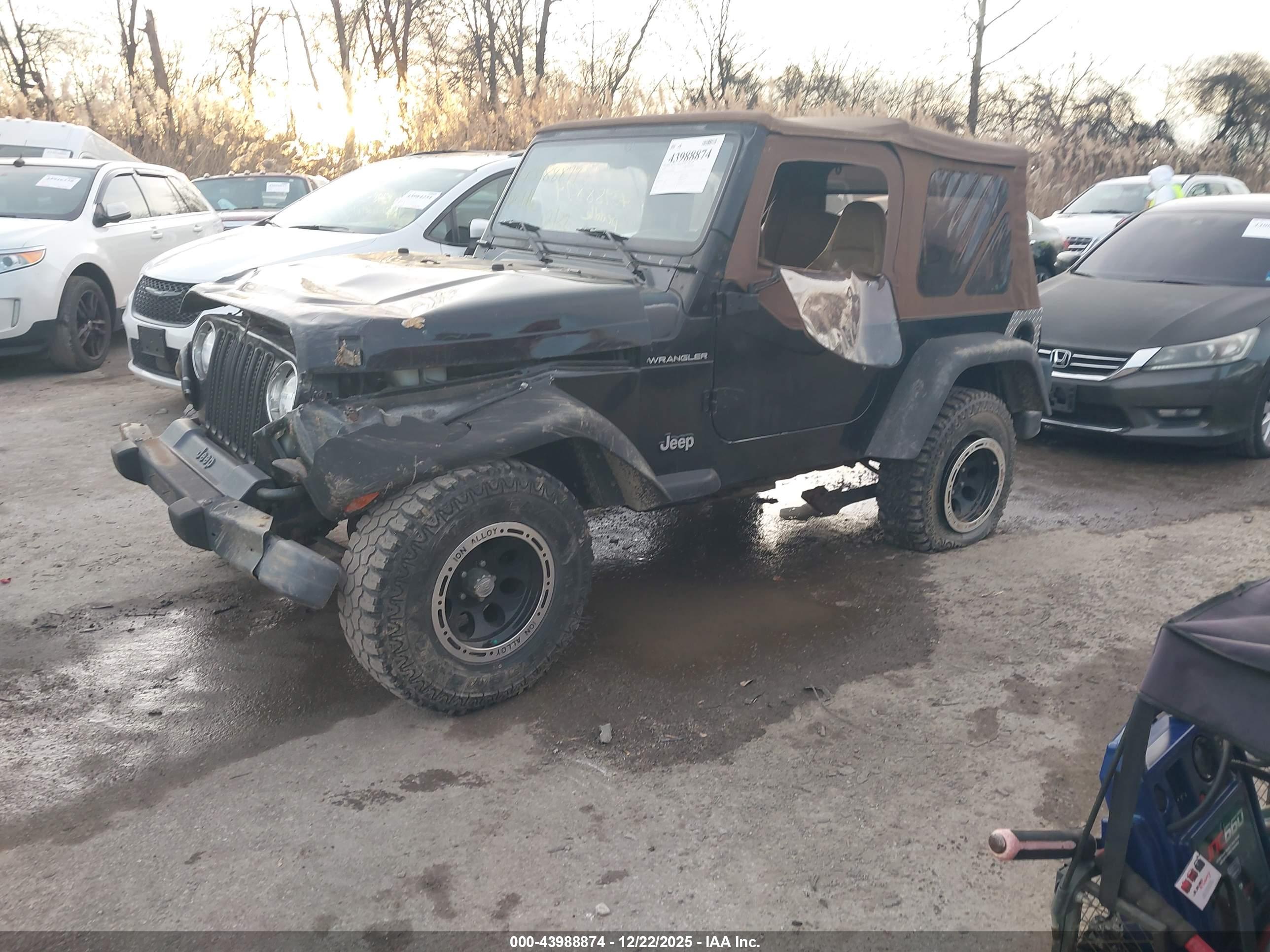 JEEP WRANGLER image 2
