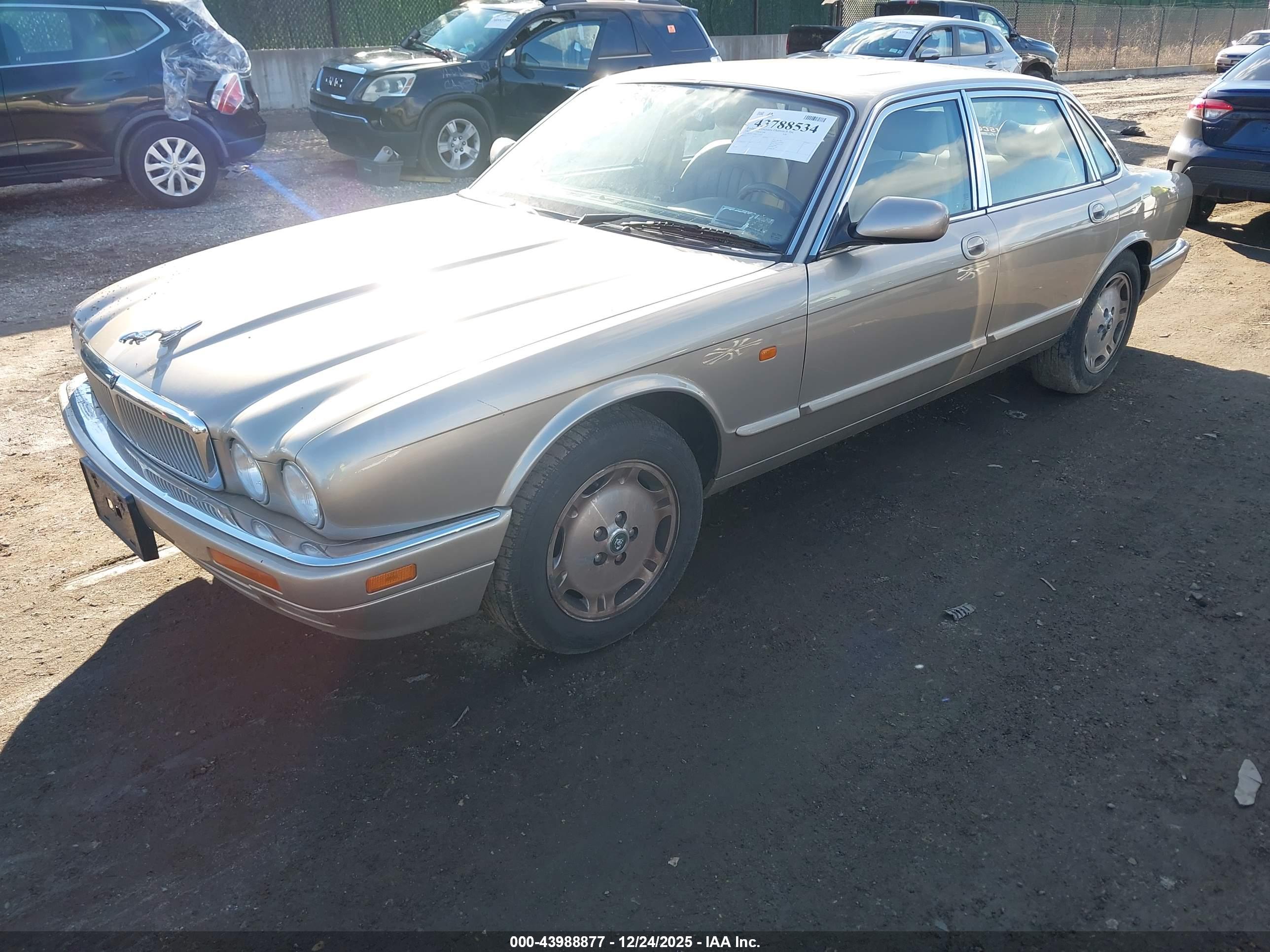 JAGUAR XJ6 image 2