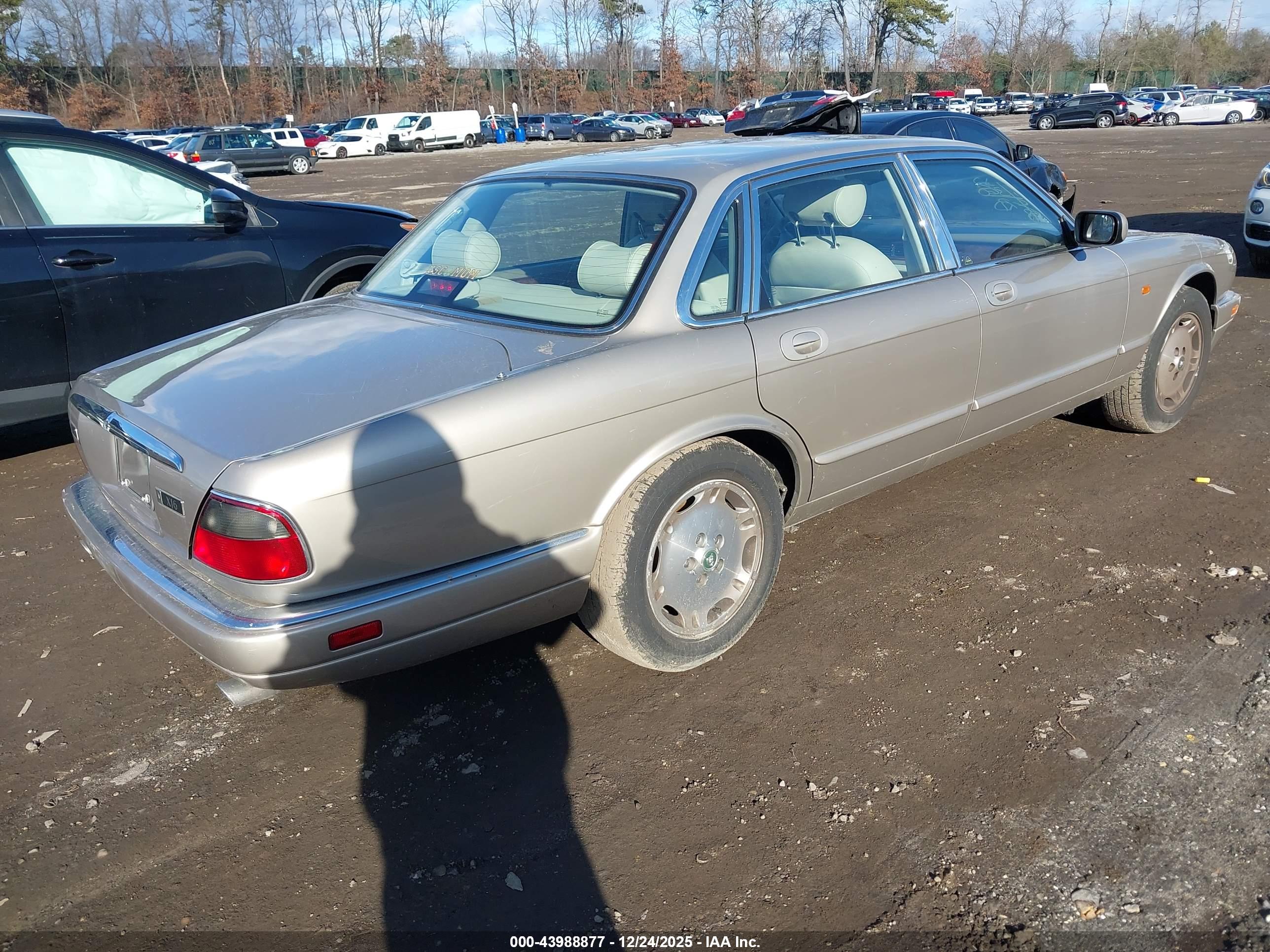 JAGUAR XJ6 image 4