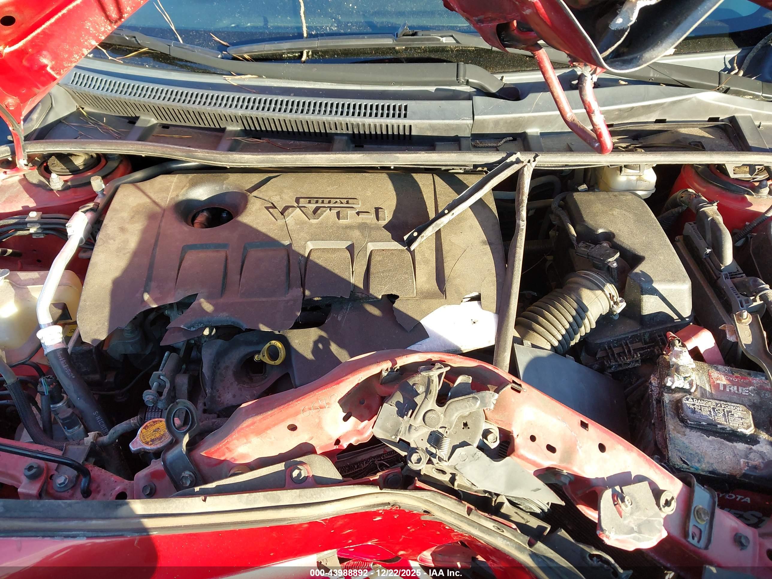 TOYOTA COROLLA image 10