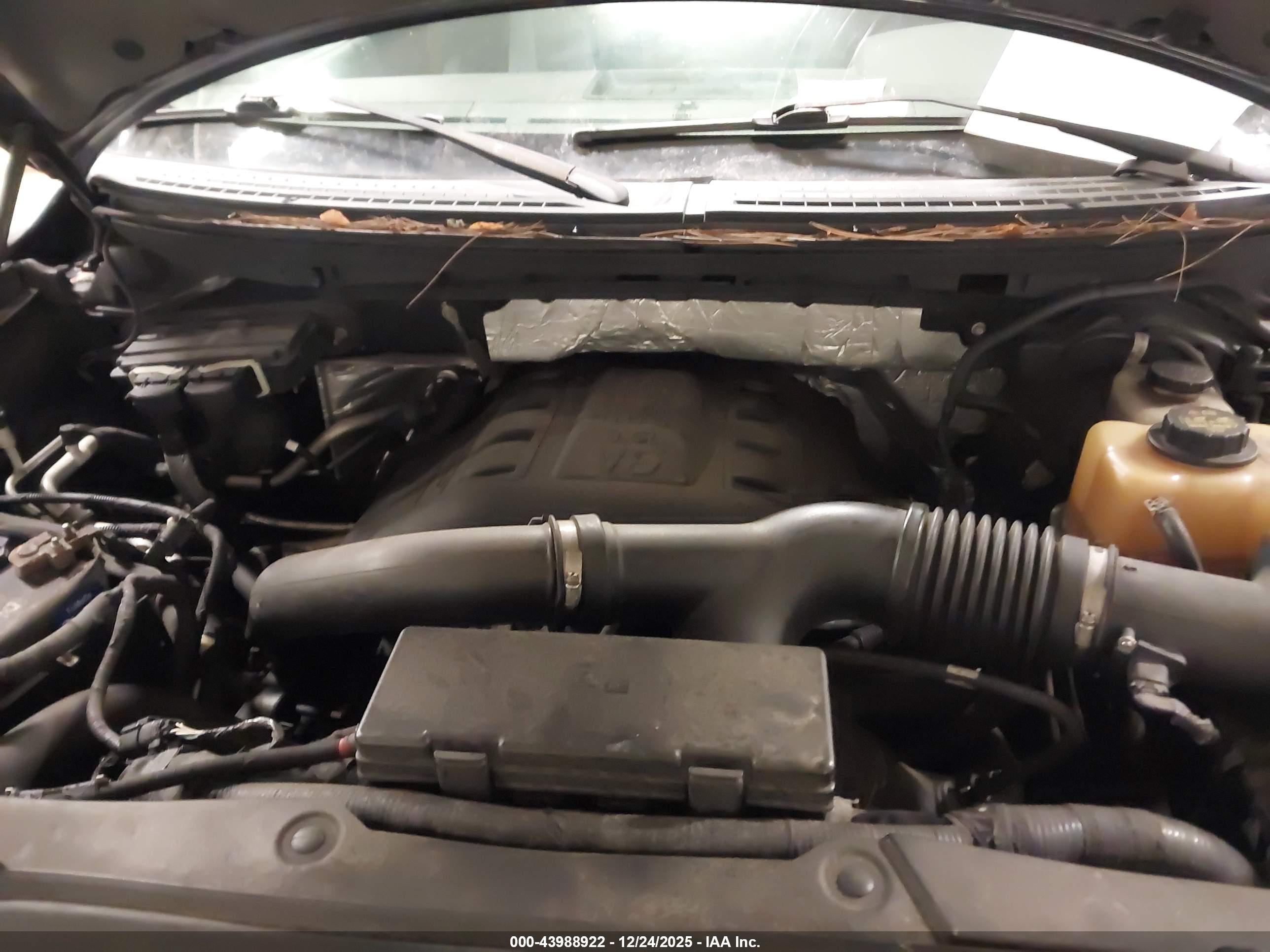 FORD F-150 image 10