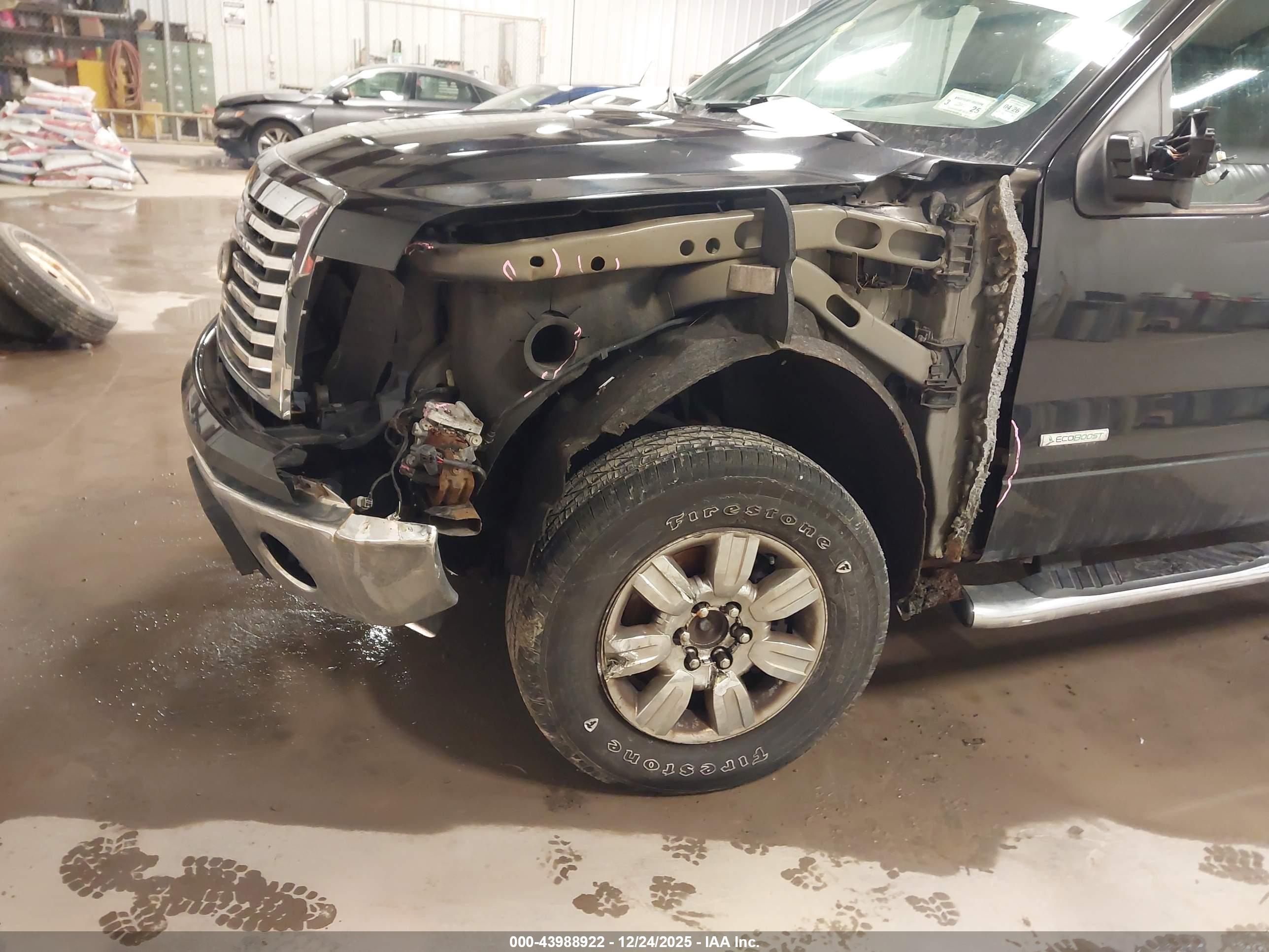 FORD F-150 image 6
