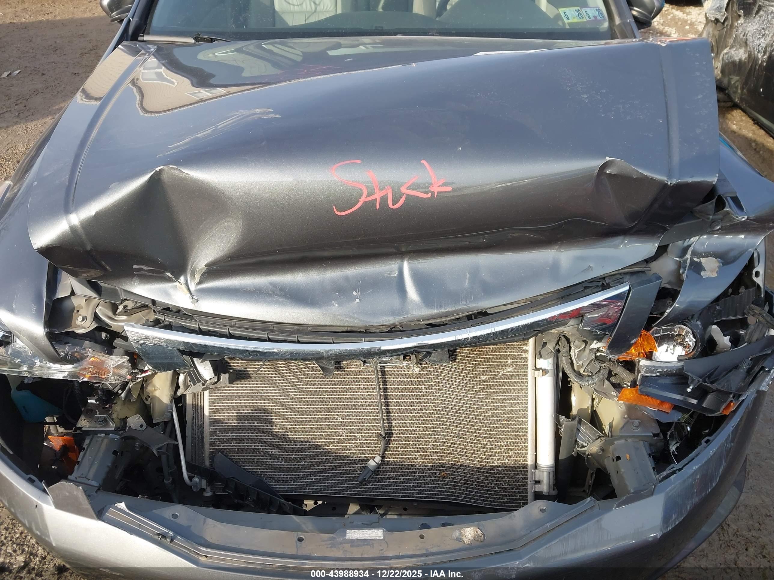 HONDA ACCORD image 10