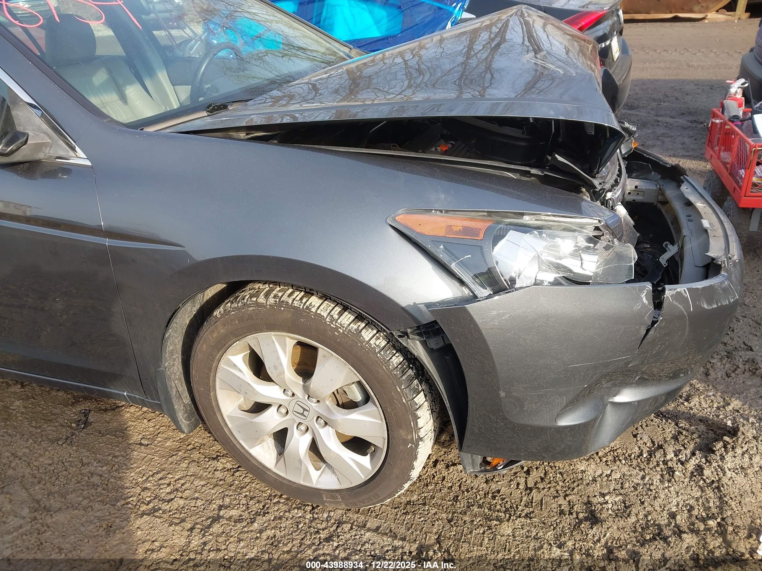 HONDA ACCORD image 6