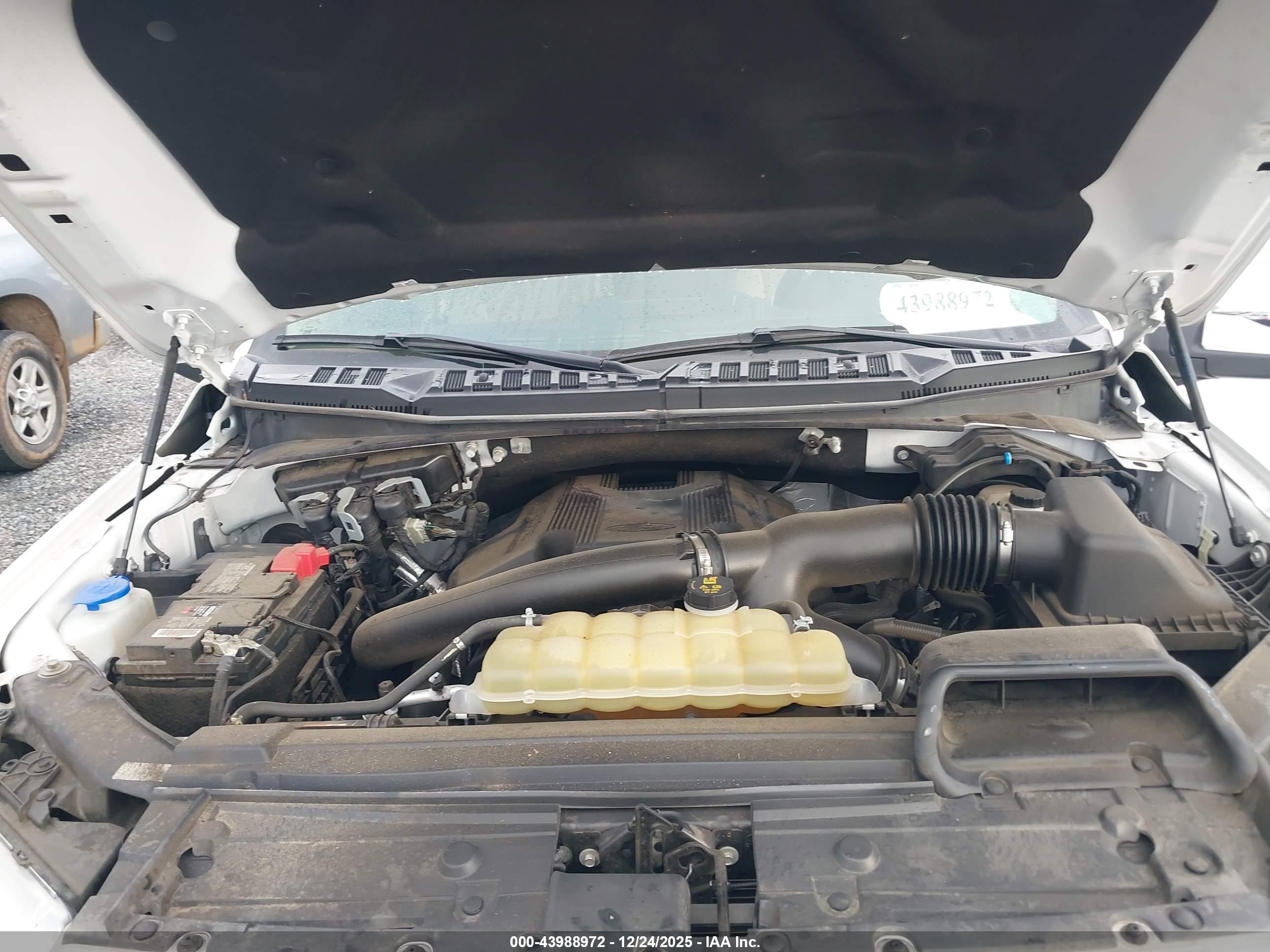 FORD F-150 image 10
