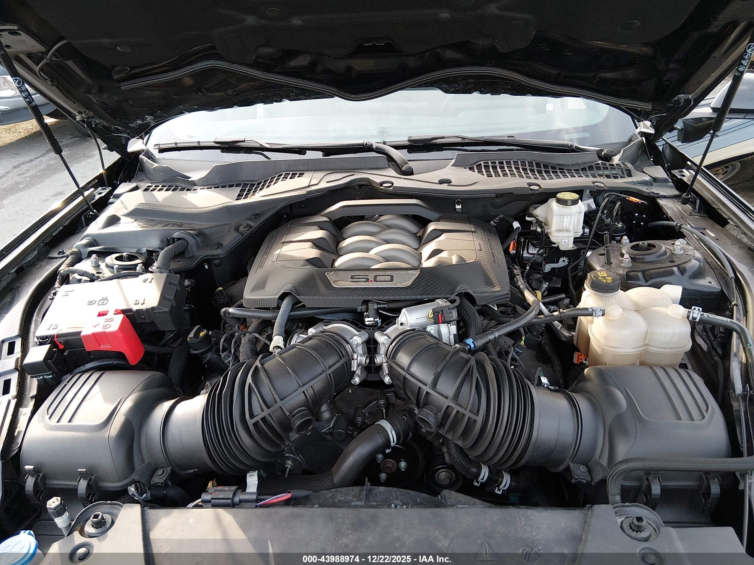 FORD MUSTANG image 10