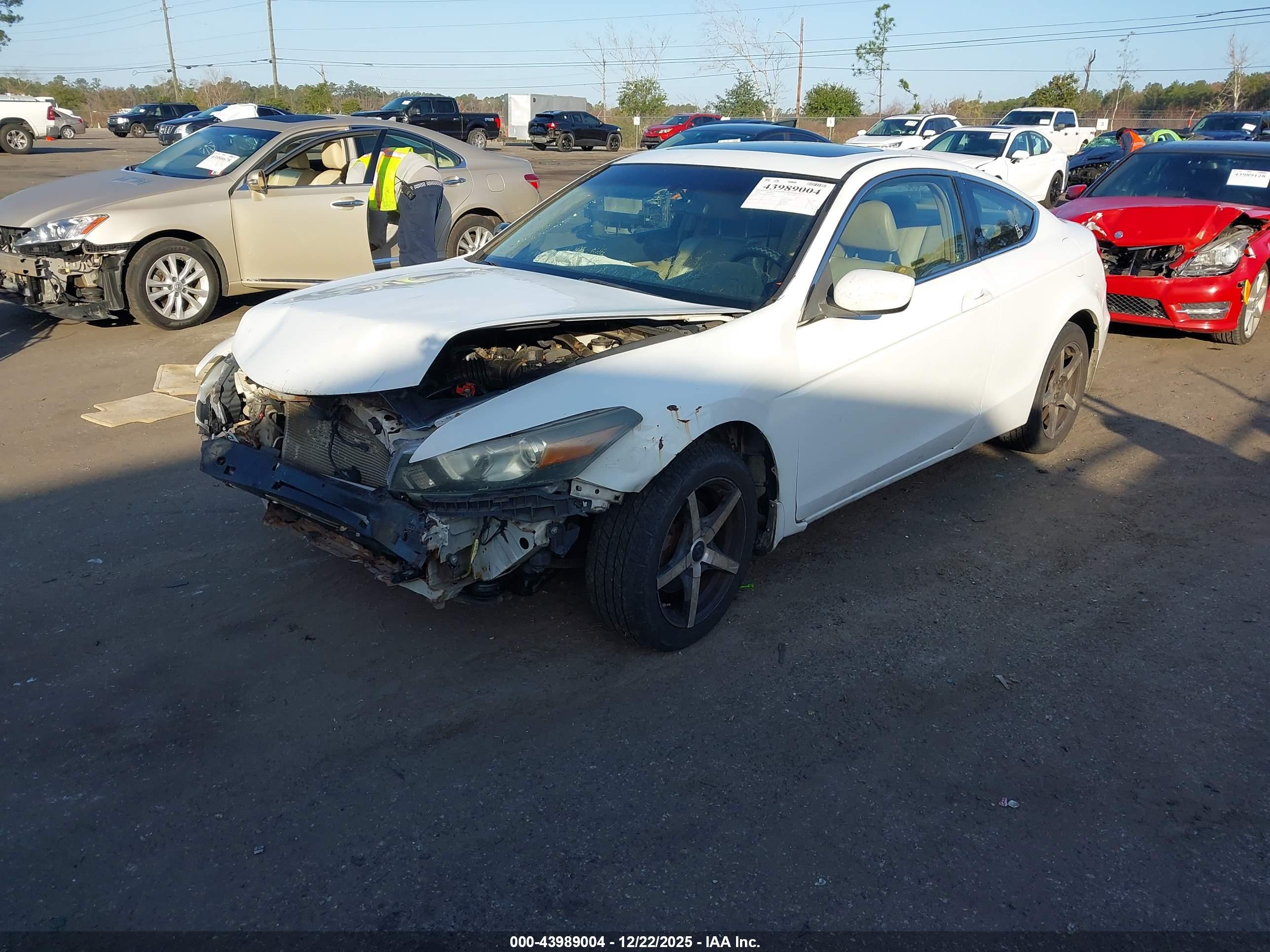 HONDA ACCORD image 2