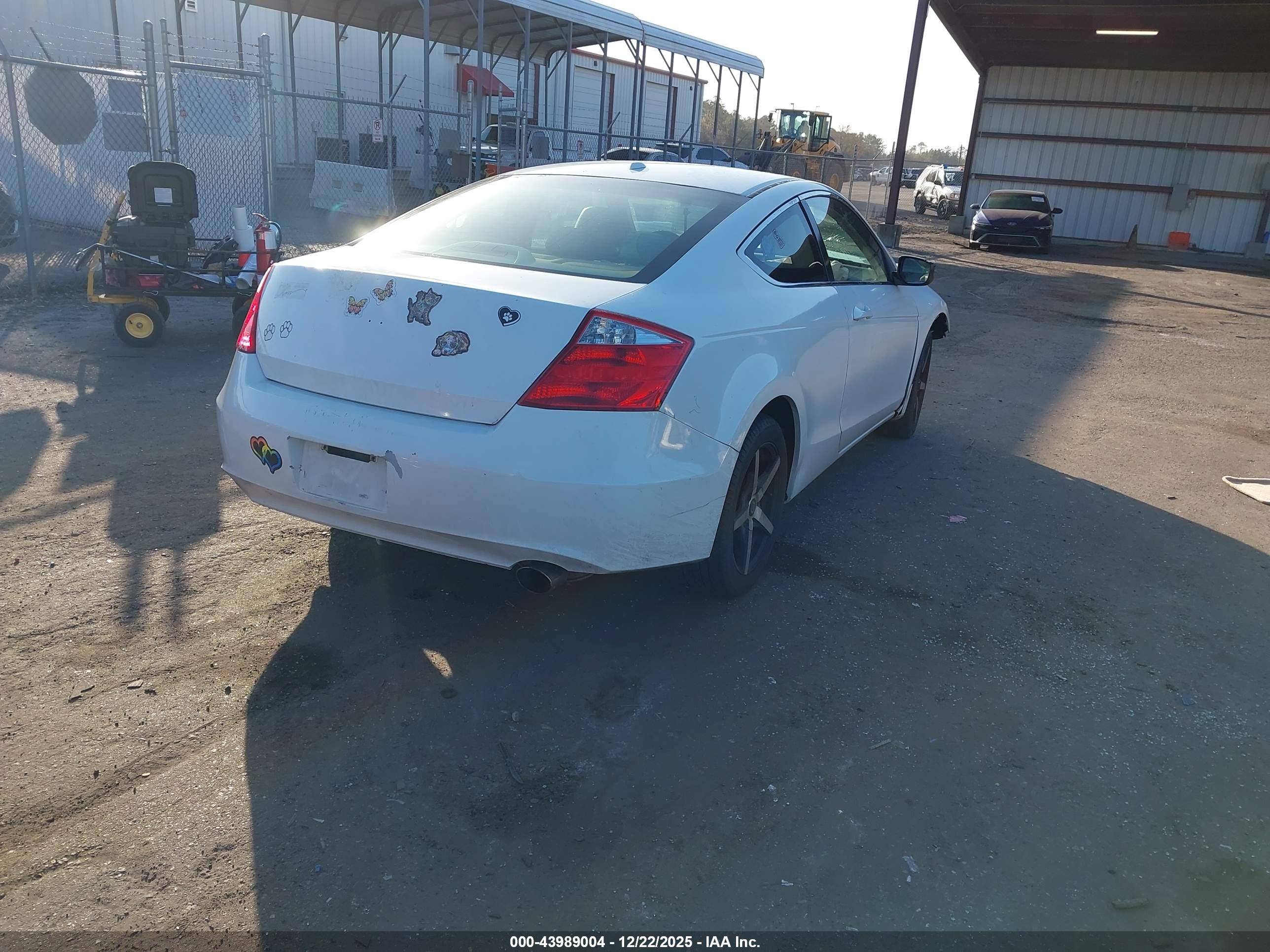 HONDA ACCORD image 4