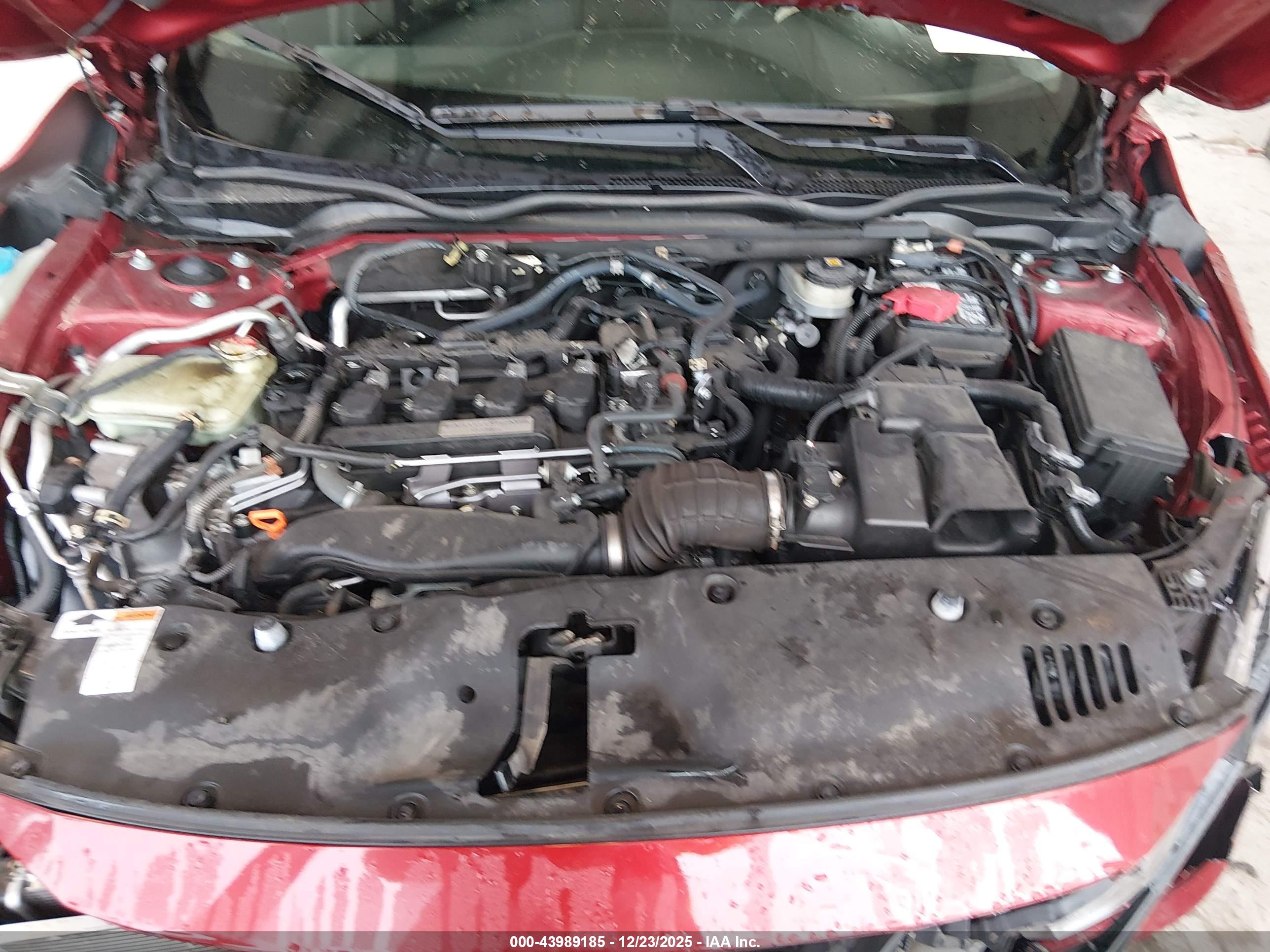 HONDA CIVIC image 10