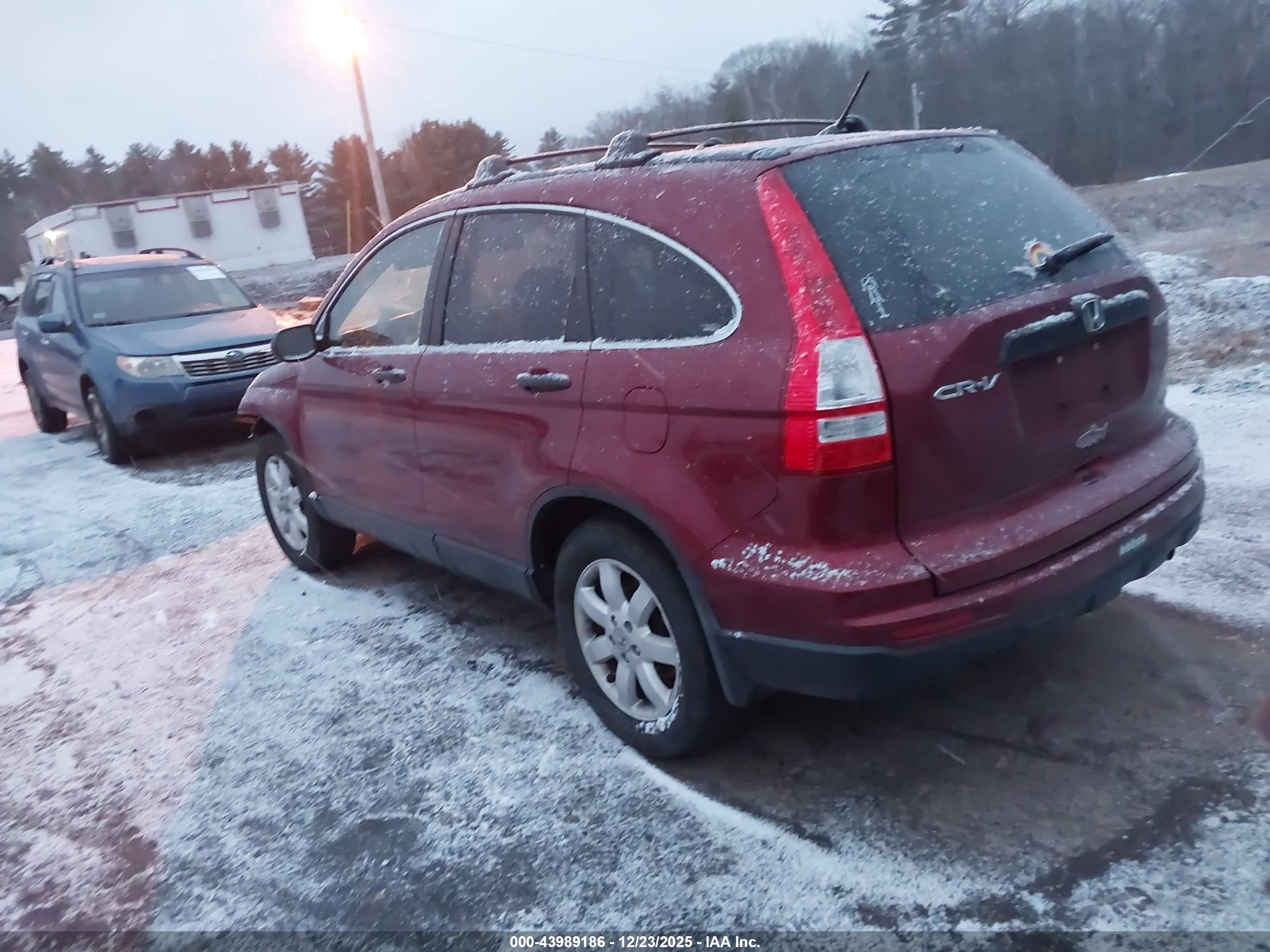 HONDA CR-V image 3