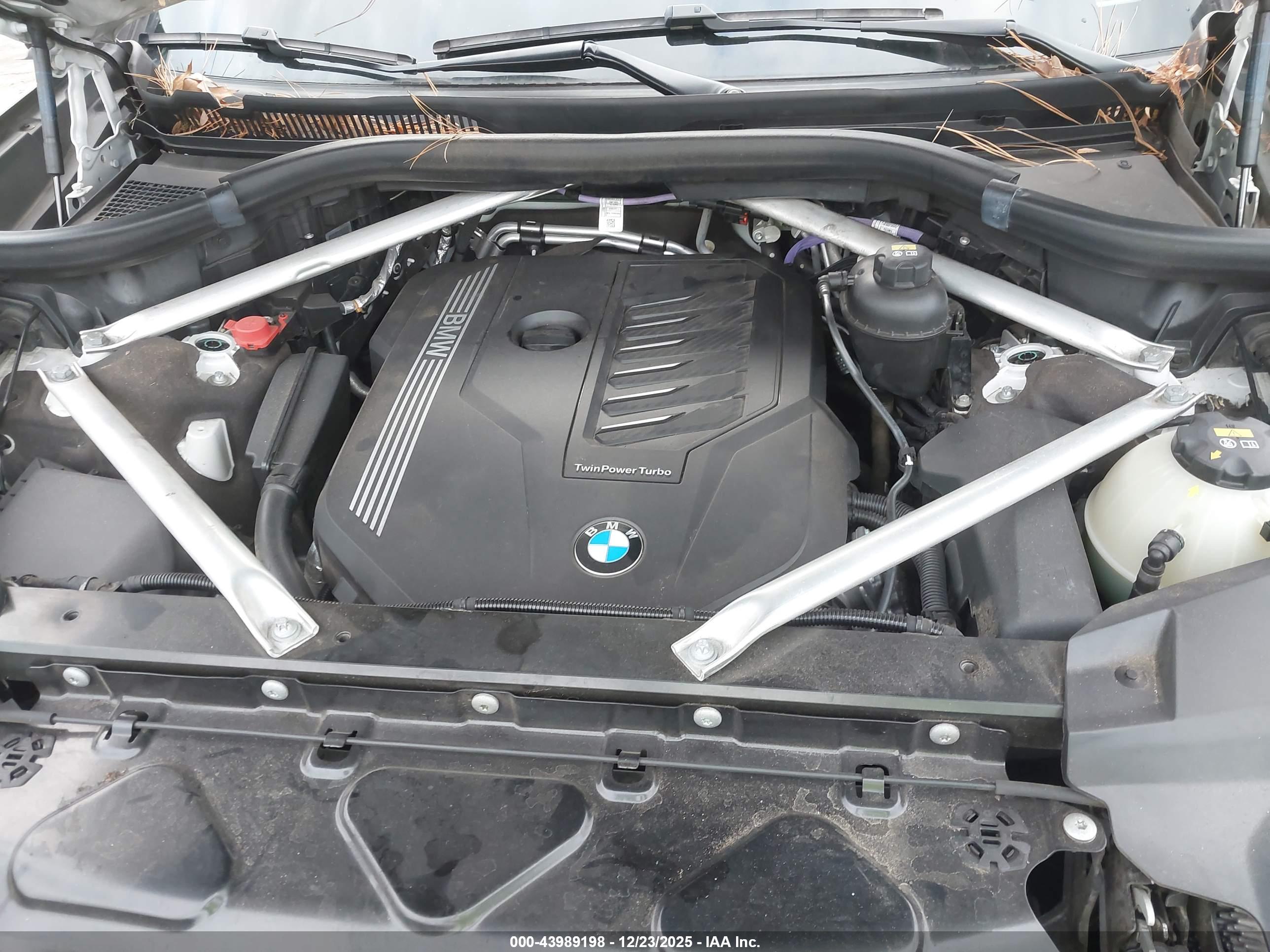 BMW X7 image 10