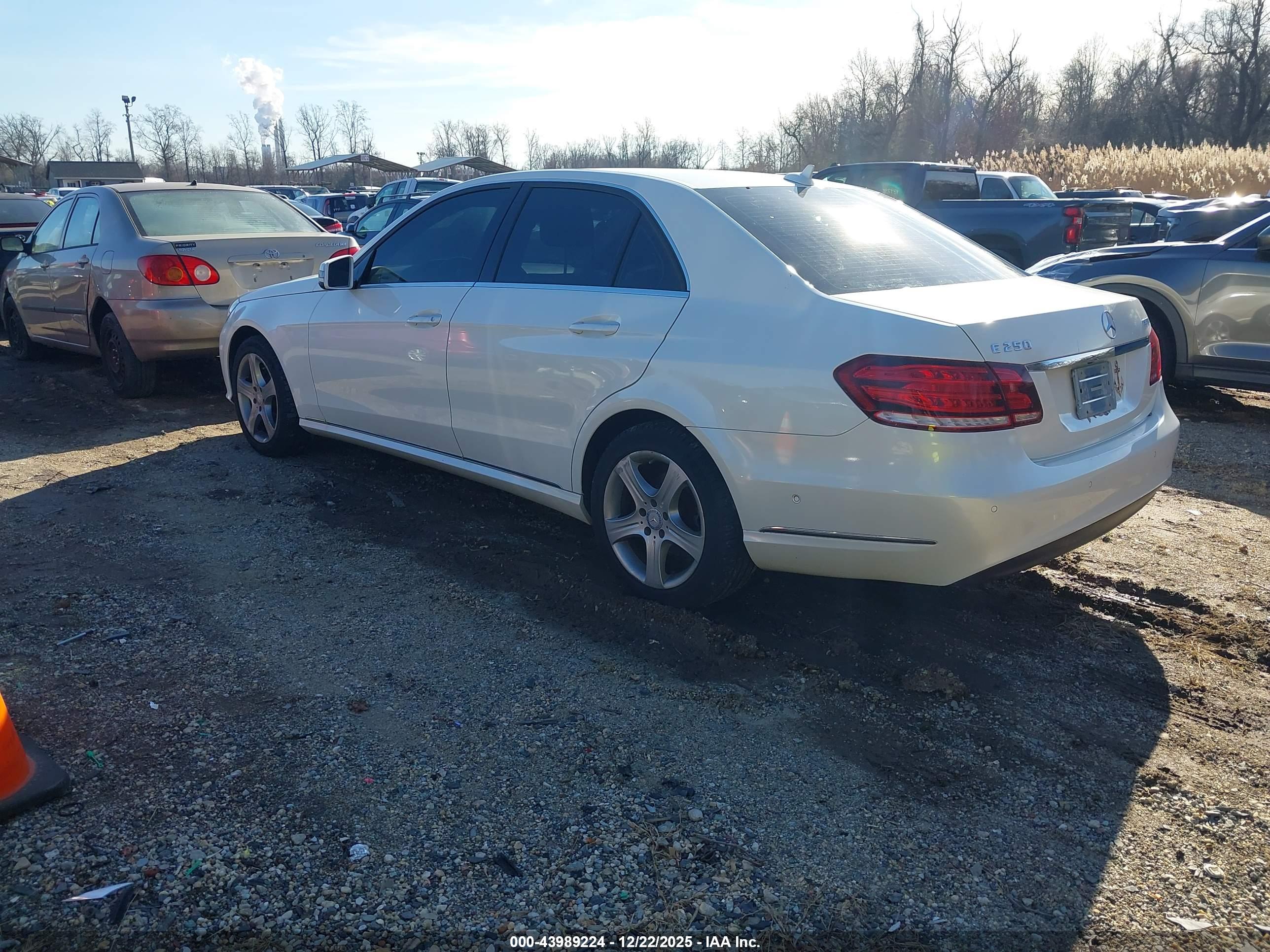 MERCEDES-BENZ E image 3