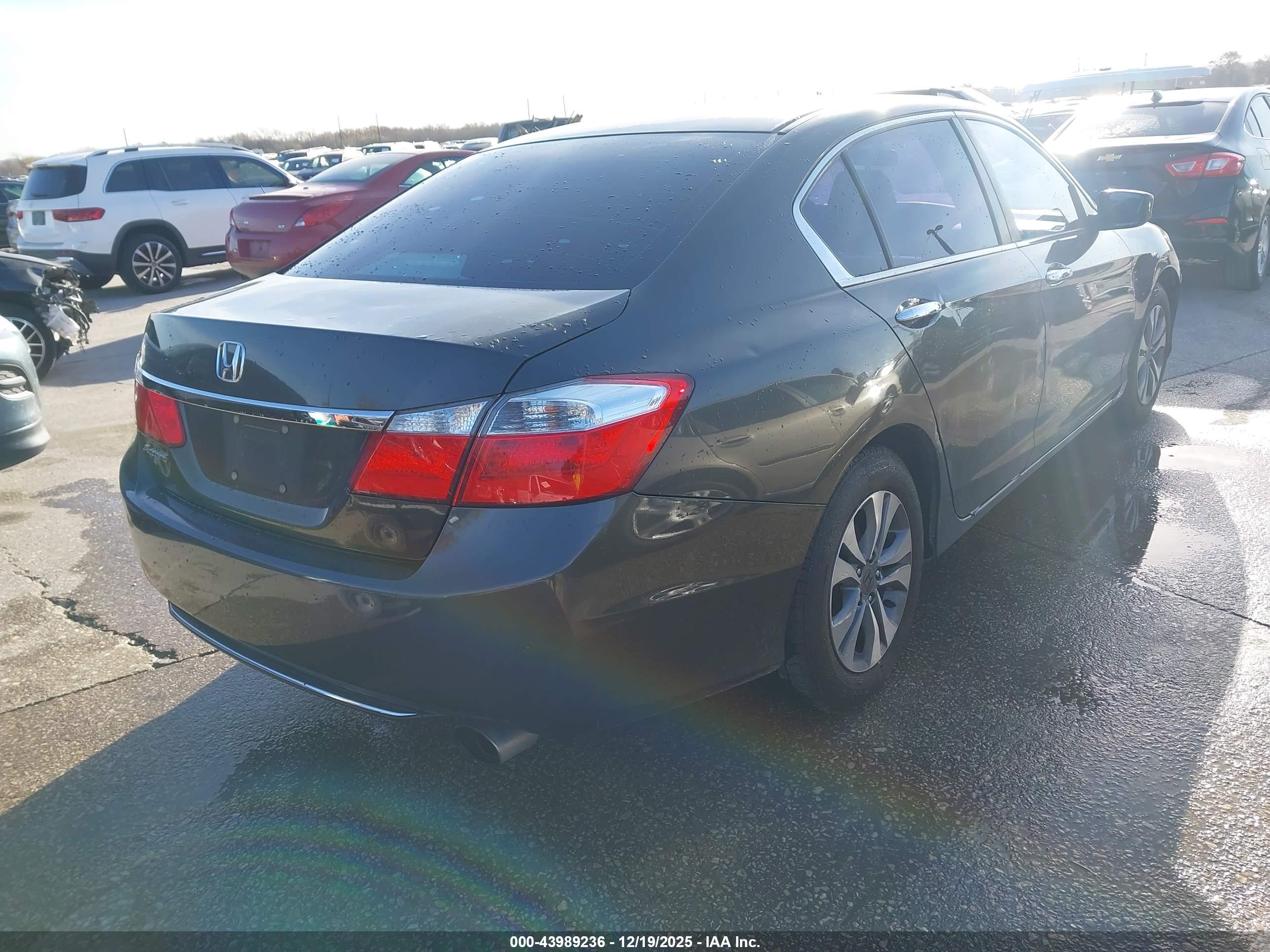 HONDA ACCORD image 4