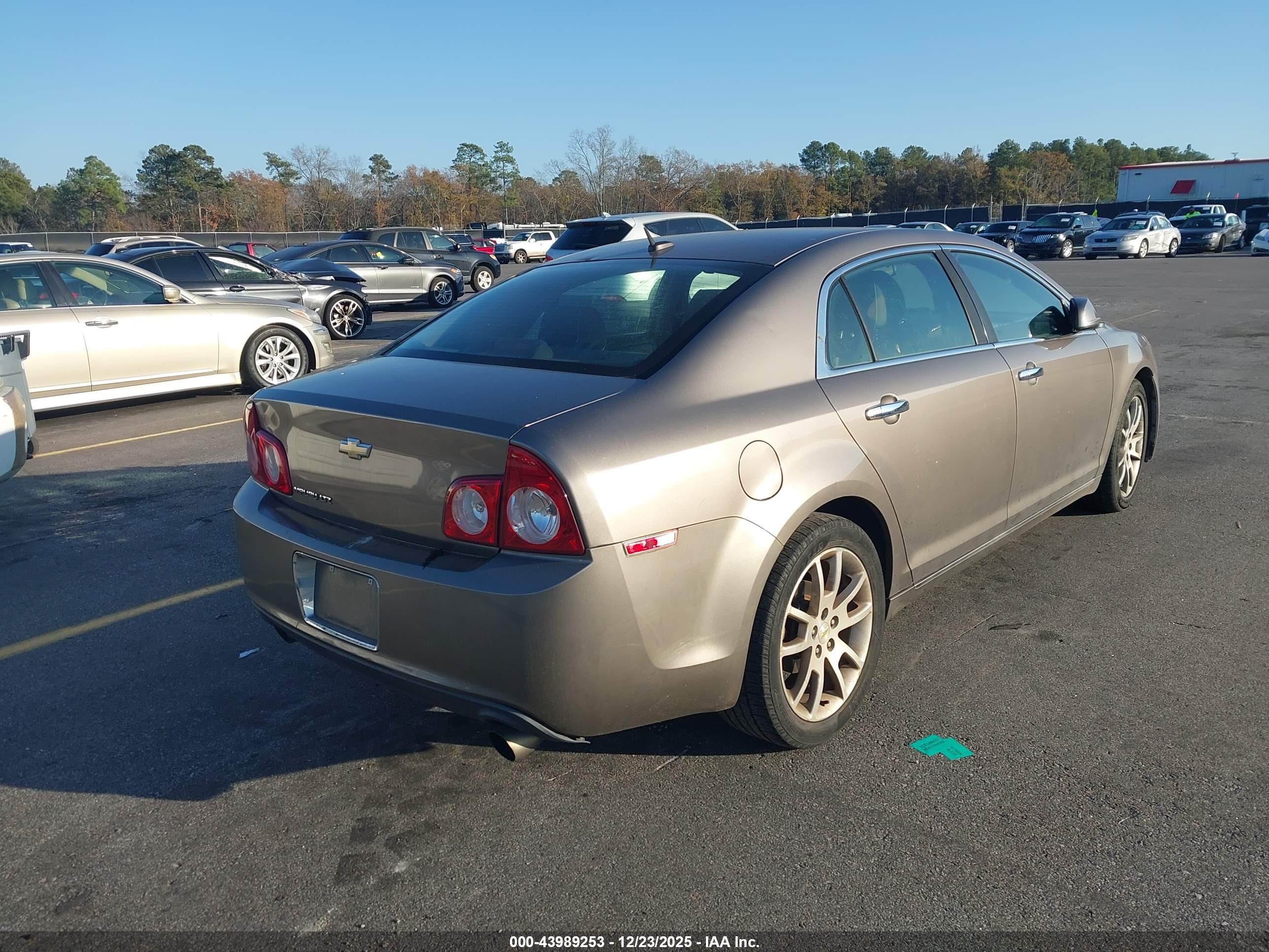 CHEVROLET MALIBU image 4