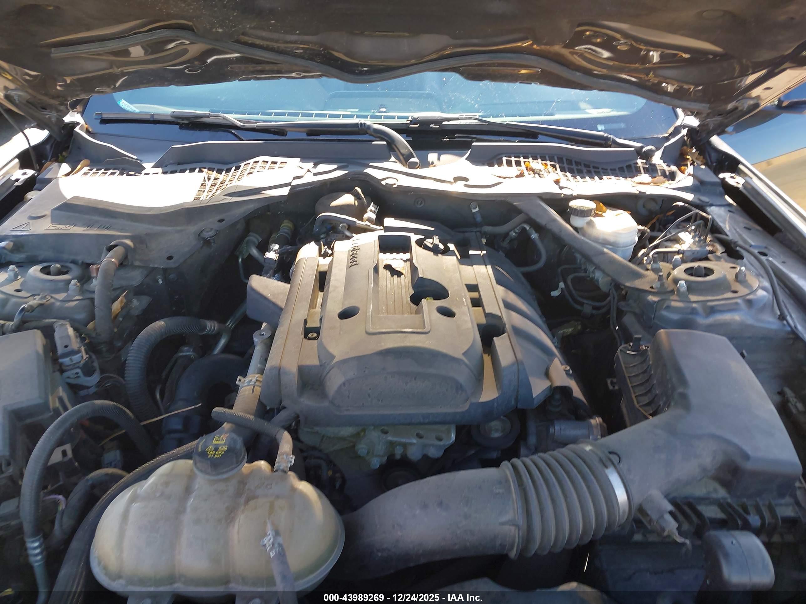 FORD MUSTANG image 10