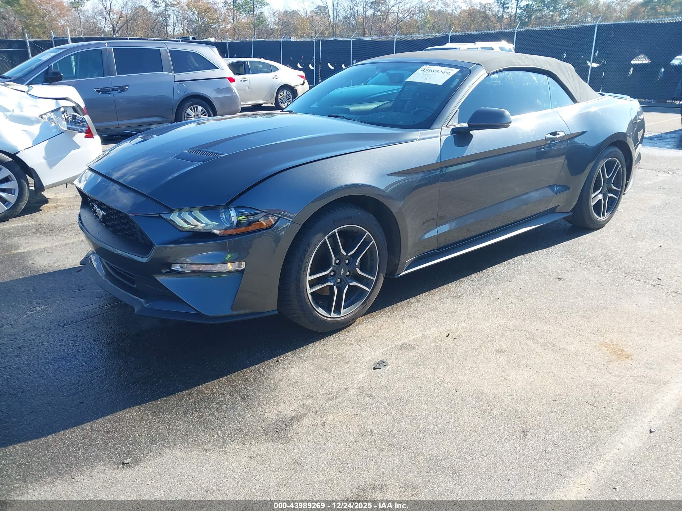 FORD MUSTANG image 2