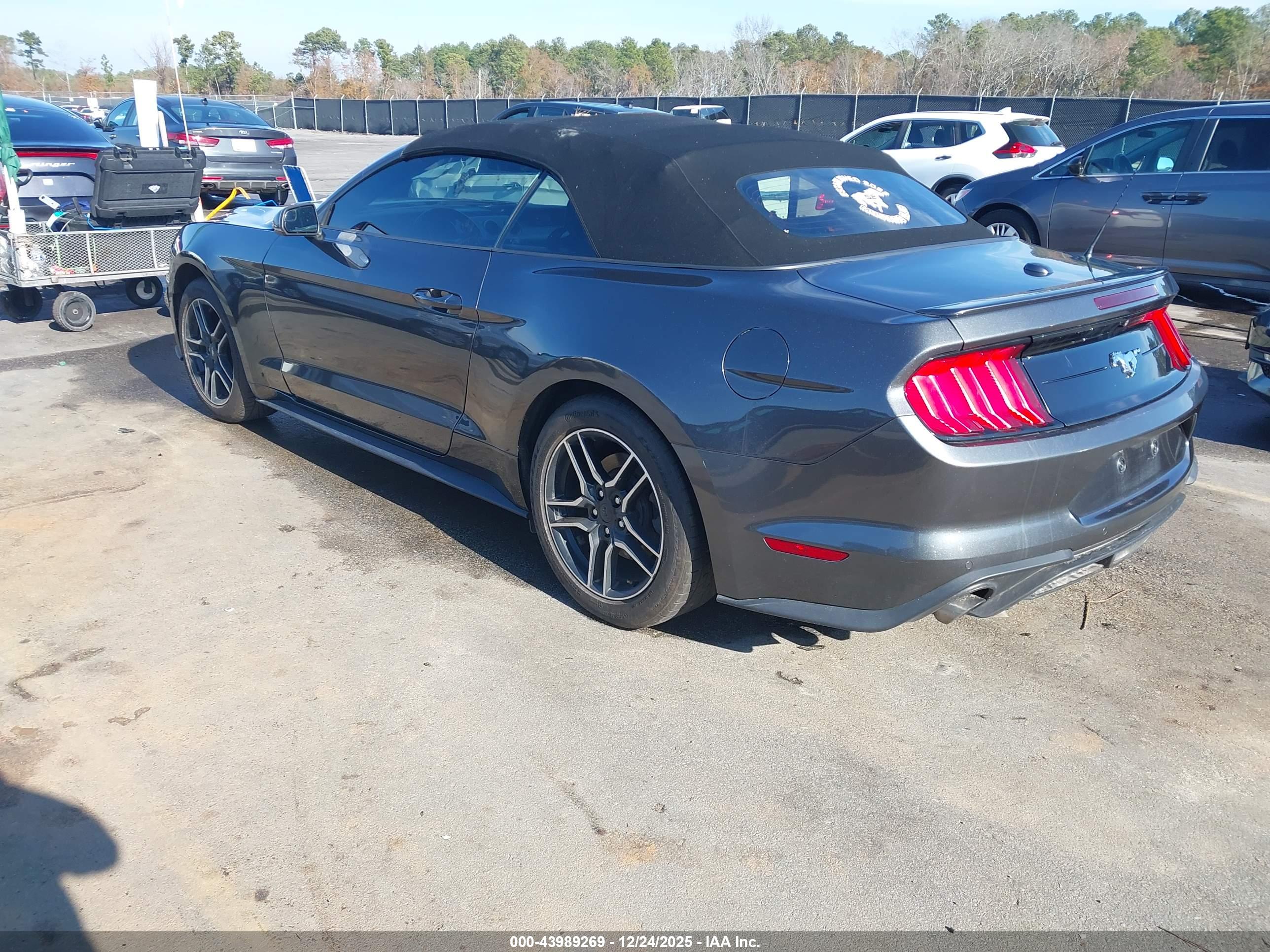 FORD MUSTANG image 3