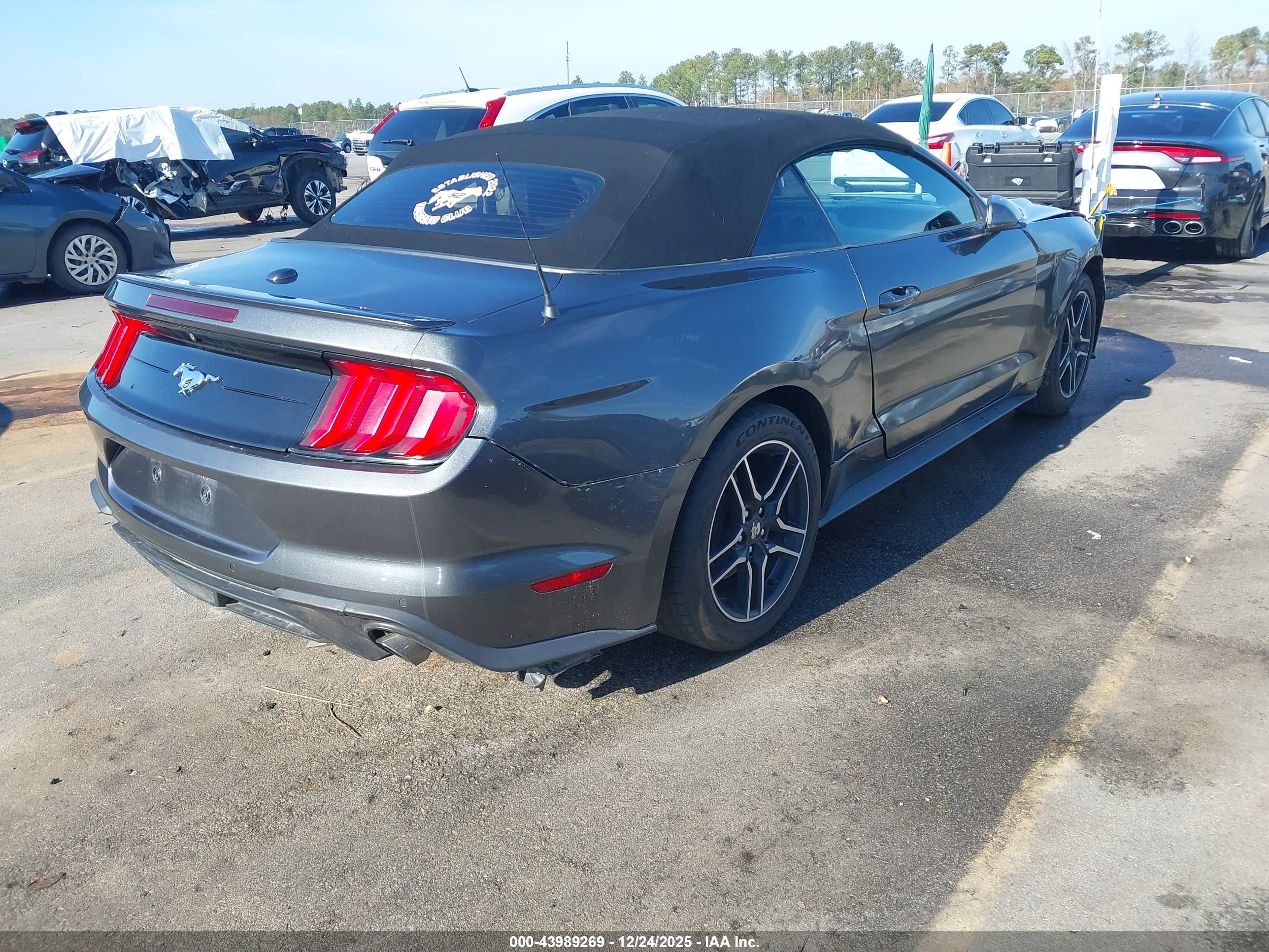 FORD MUSTANG image 4