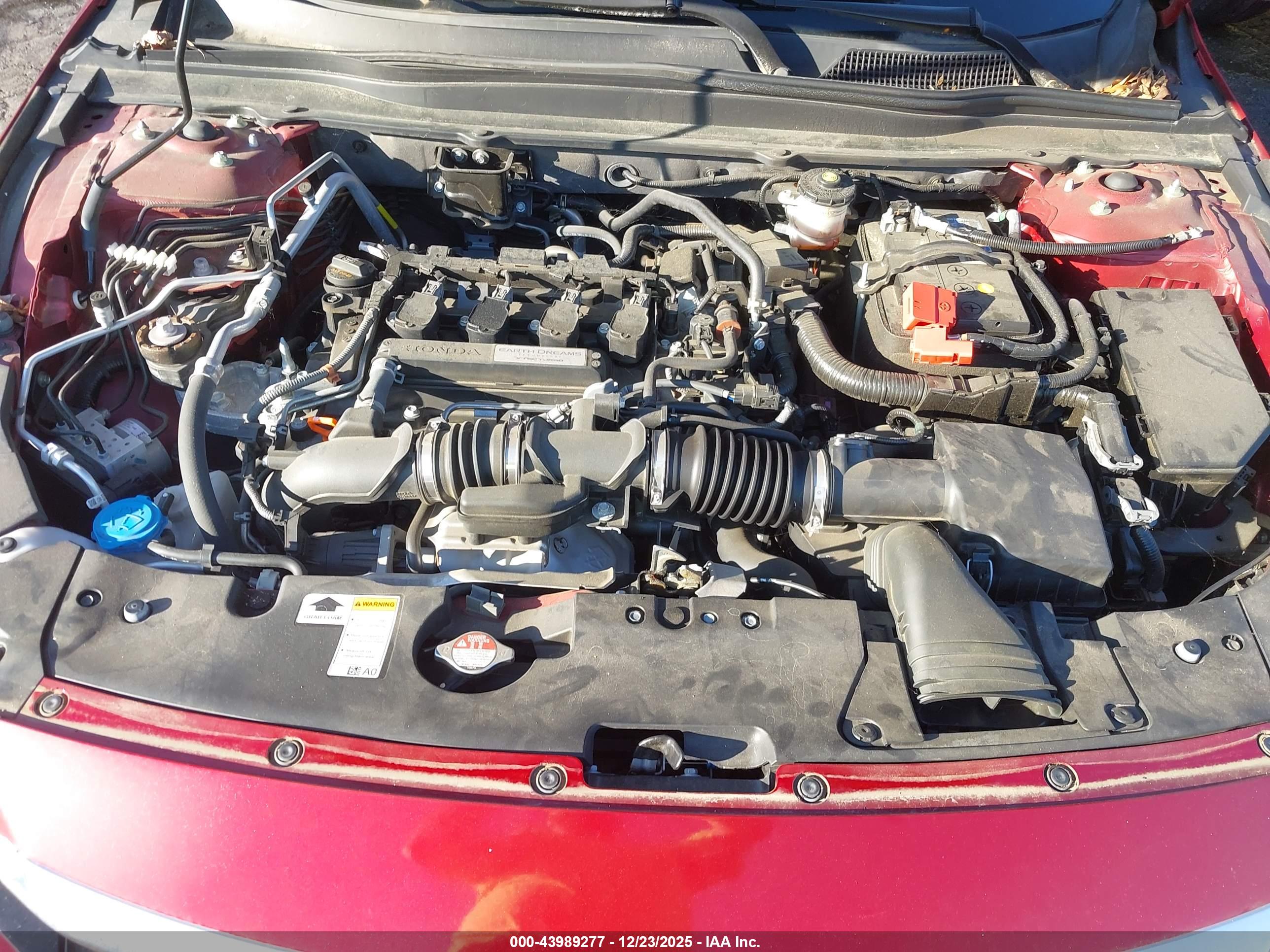 HONDA ACCORD image 10