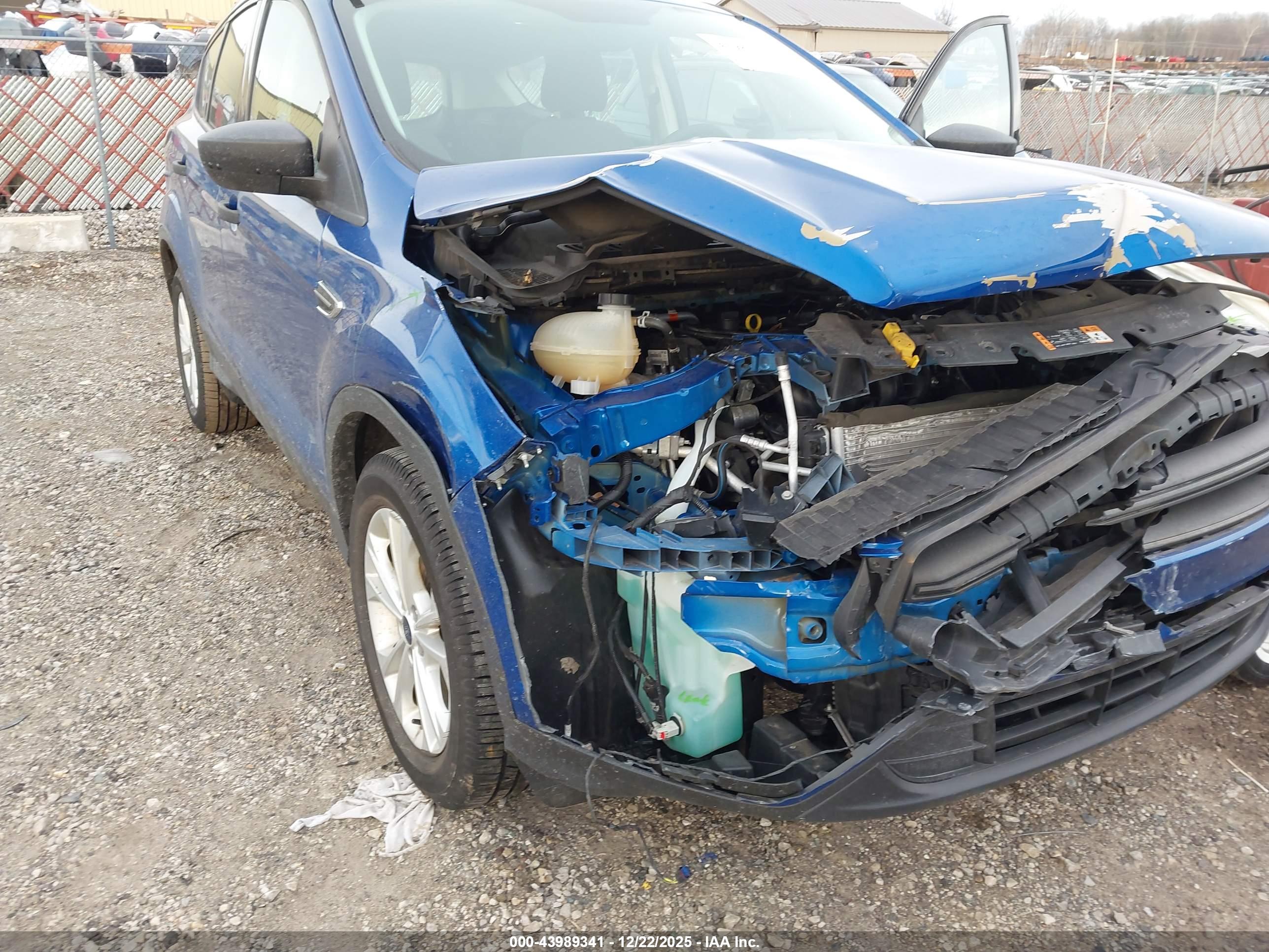 FORD ESCAPE image 6