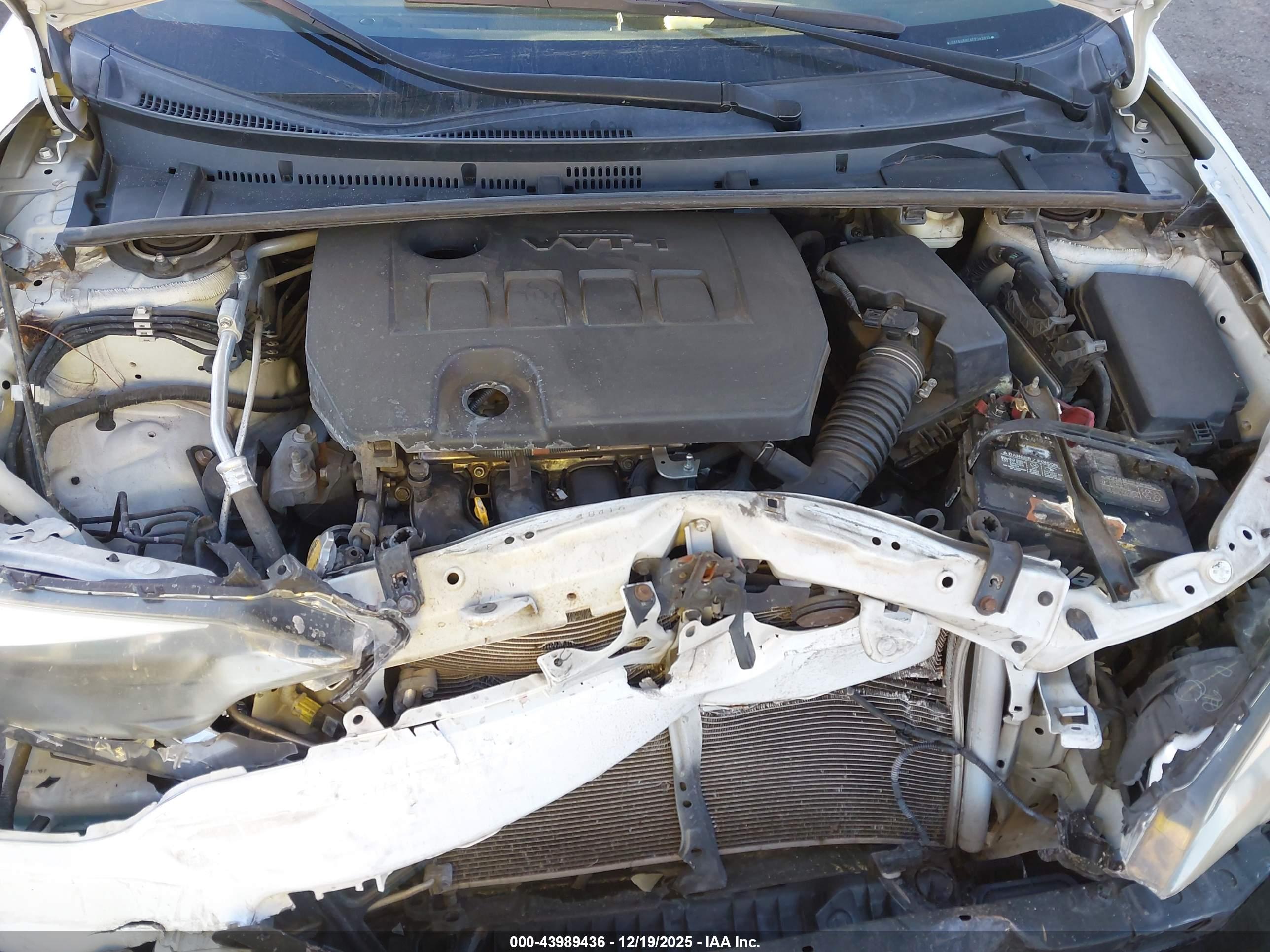 TOYOTA COROLLA image 10