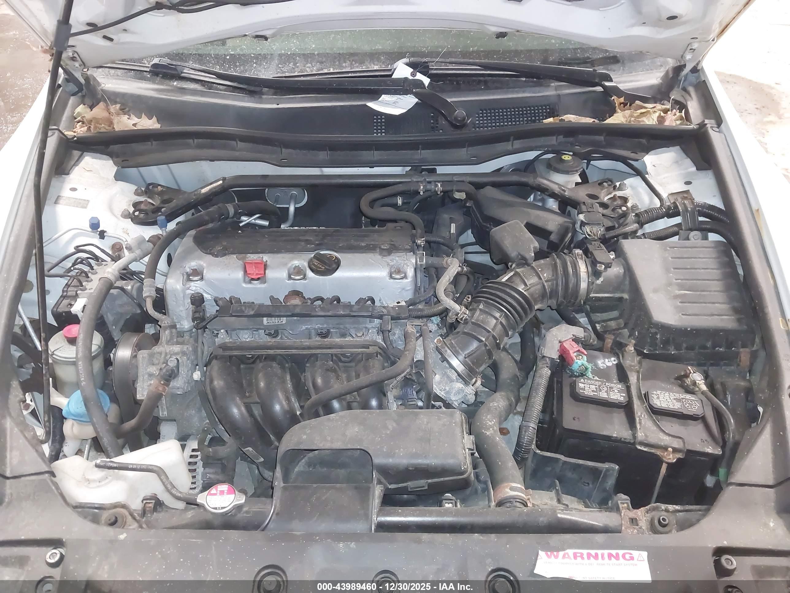 HONDA ACCORD image 10