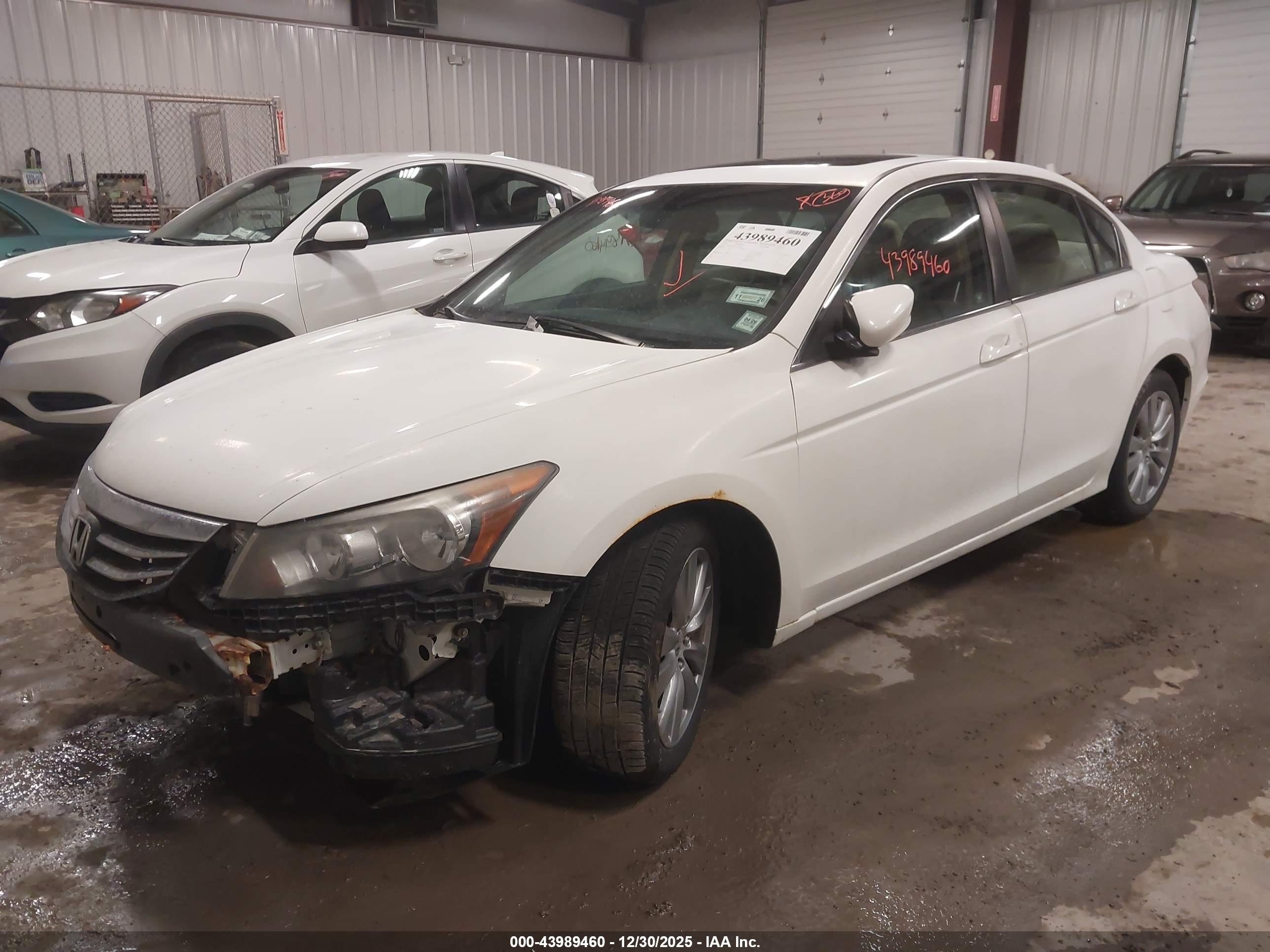 HONDA ACCORD image 2