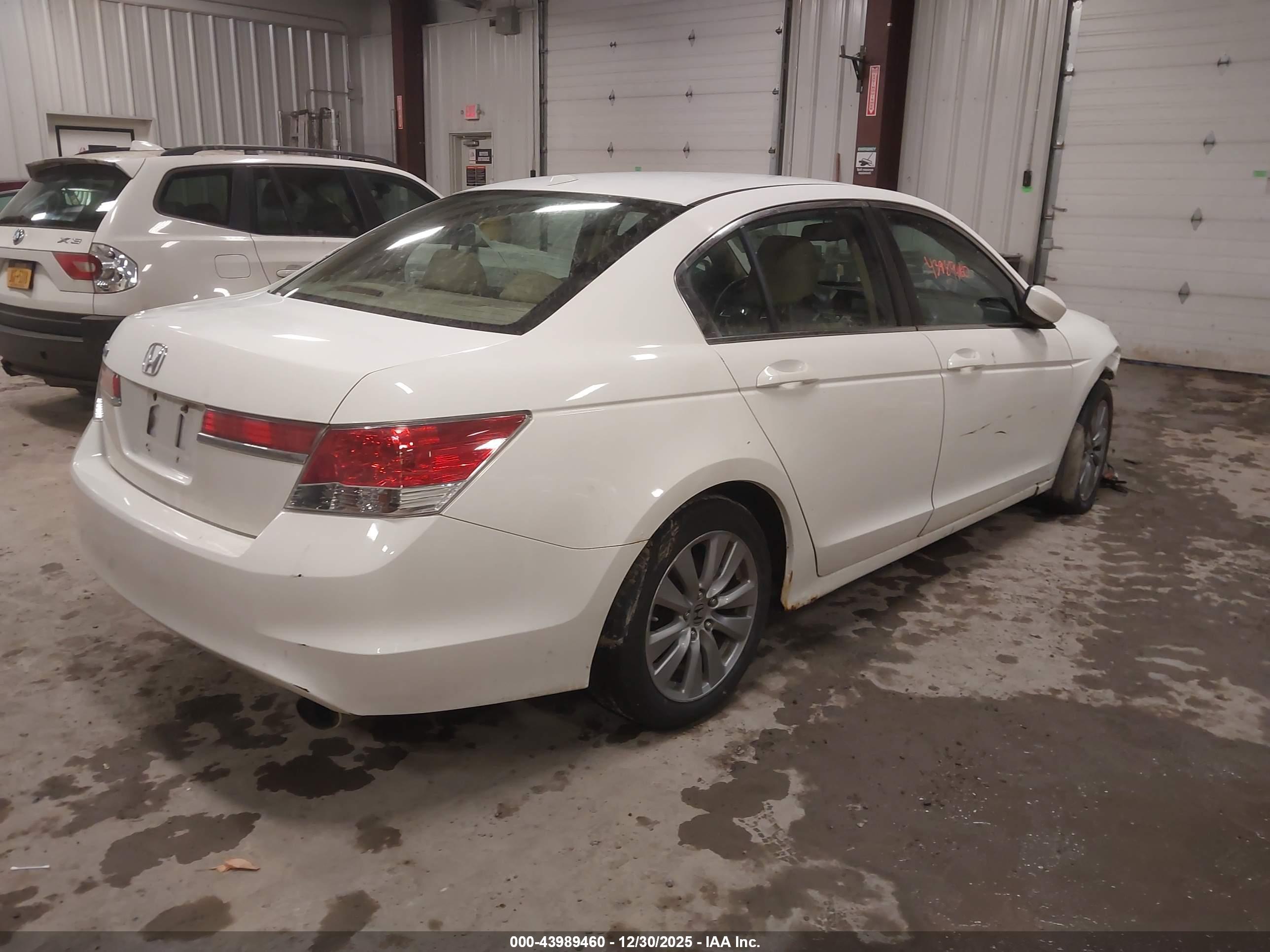 HONDA ACCORD image 4