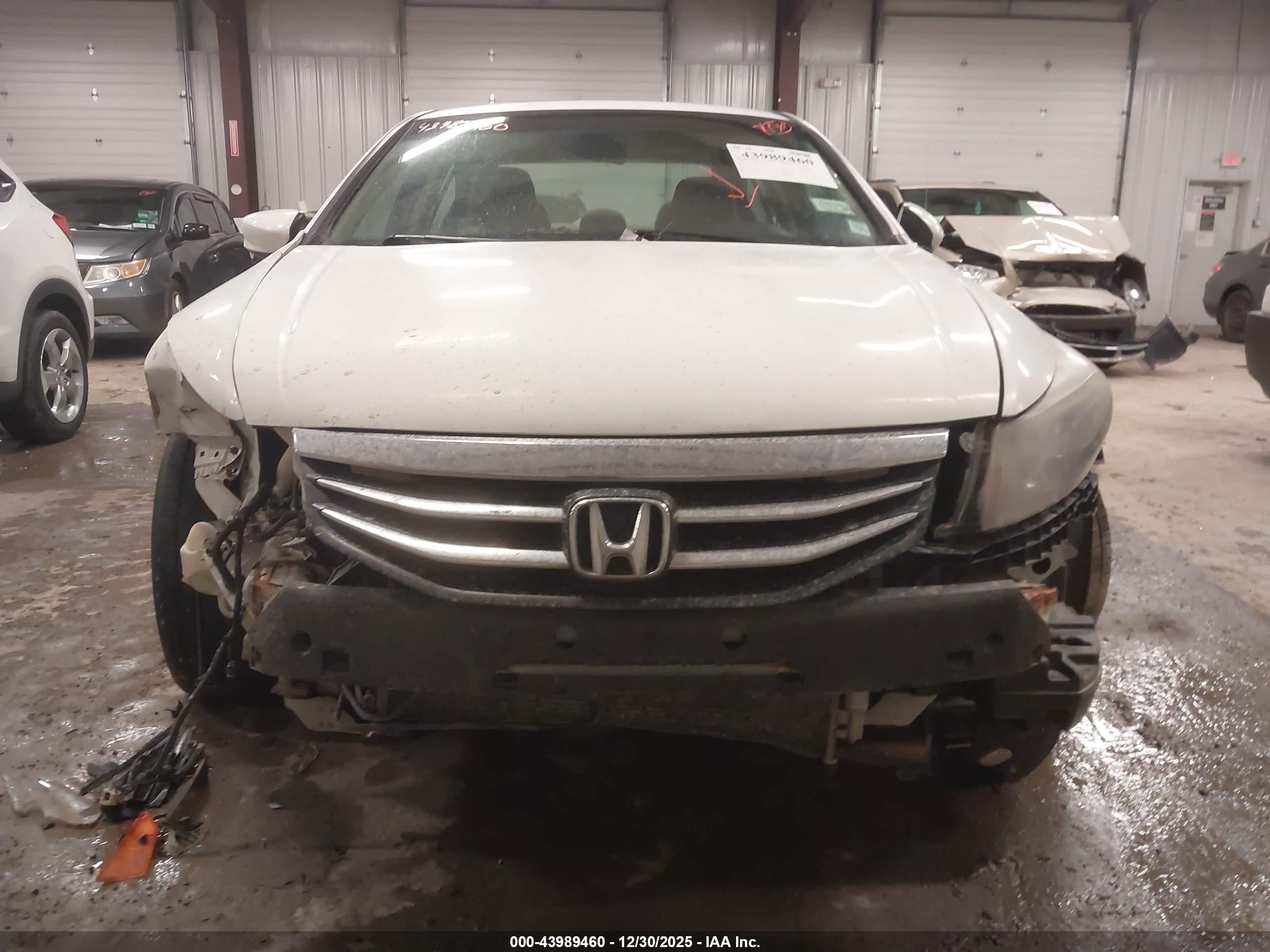 HONDA ACCORD image 6