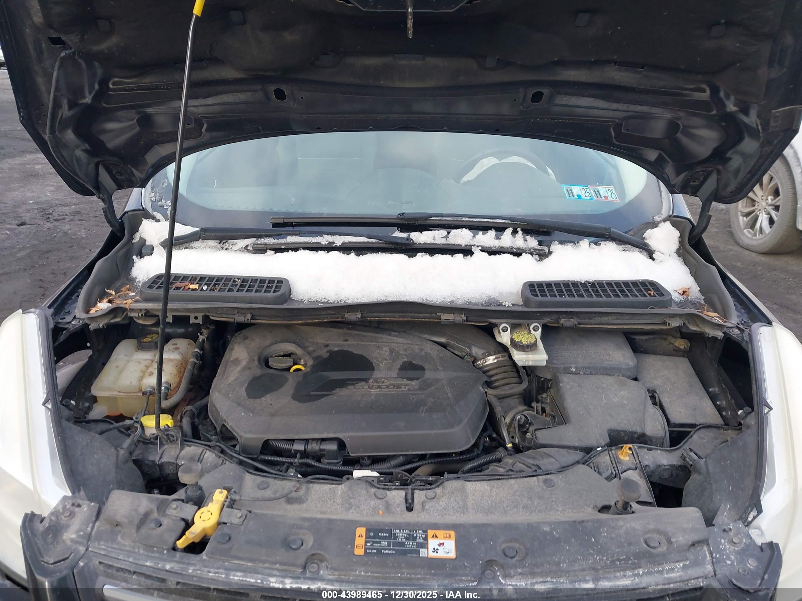 FORD ESCAPE image 10