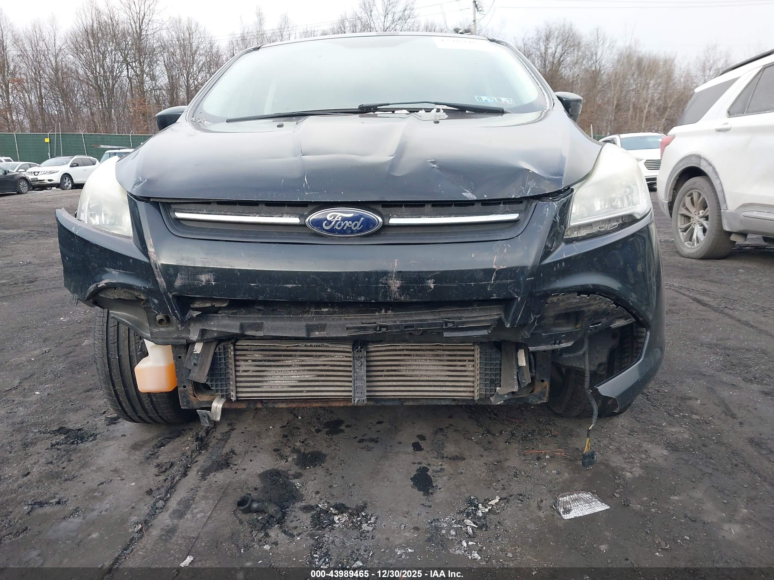 FORD ESCAPE image 6
