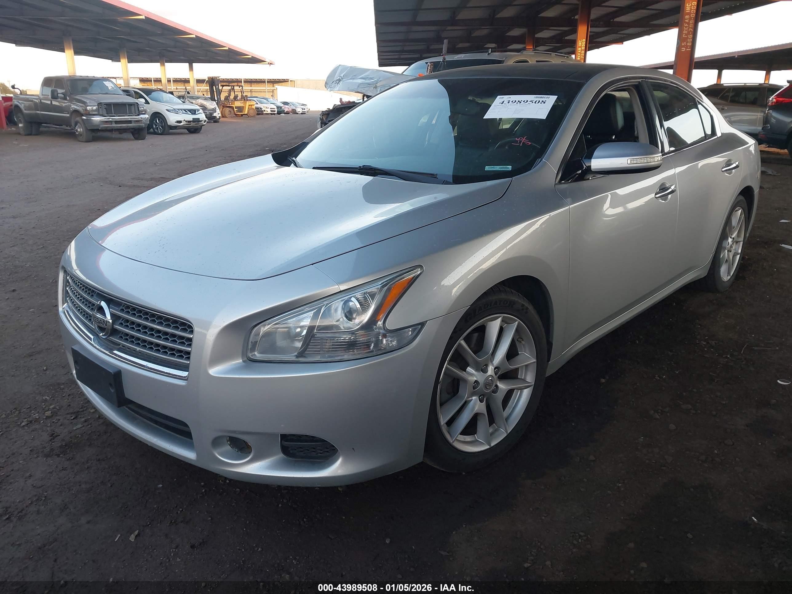 NISSAN MAXIMA image 2