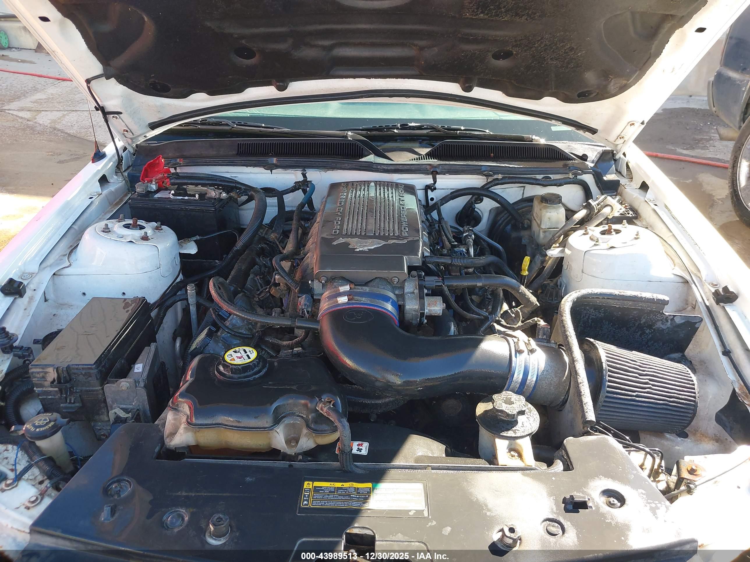 FORD MUSTANG image 10