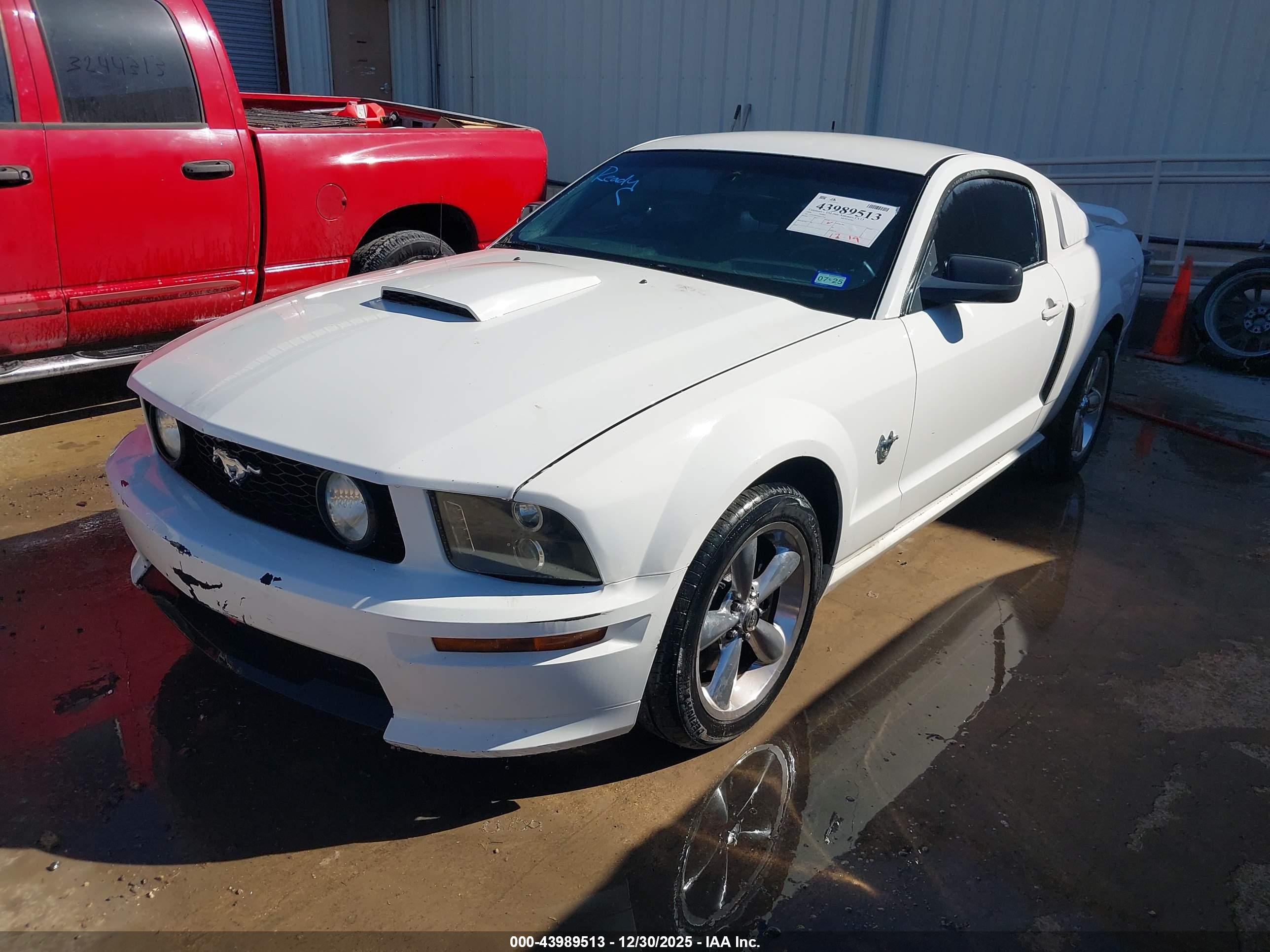 FORD MUSTANG image 2